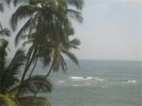 Фото The Orange House