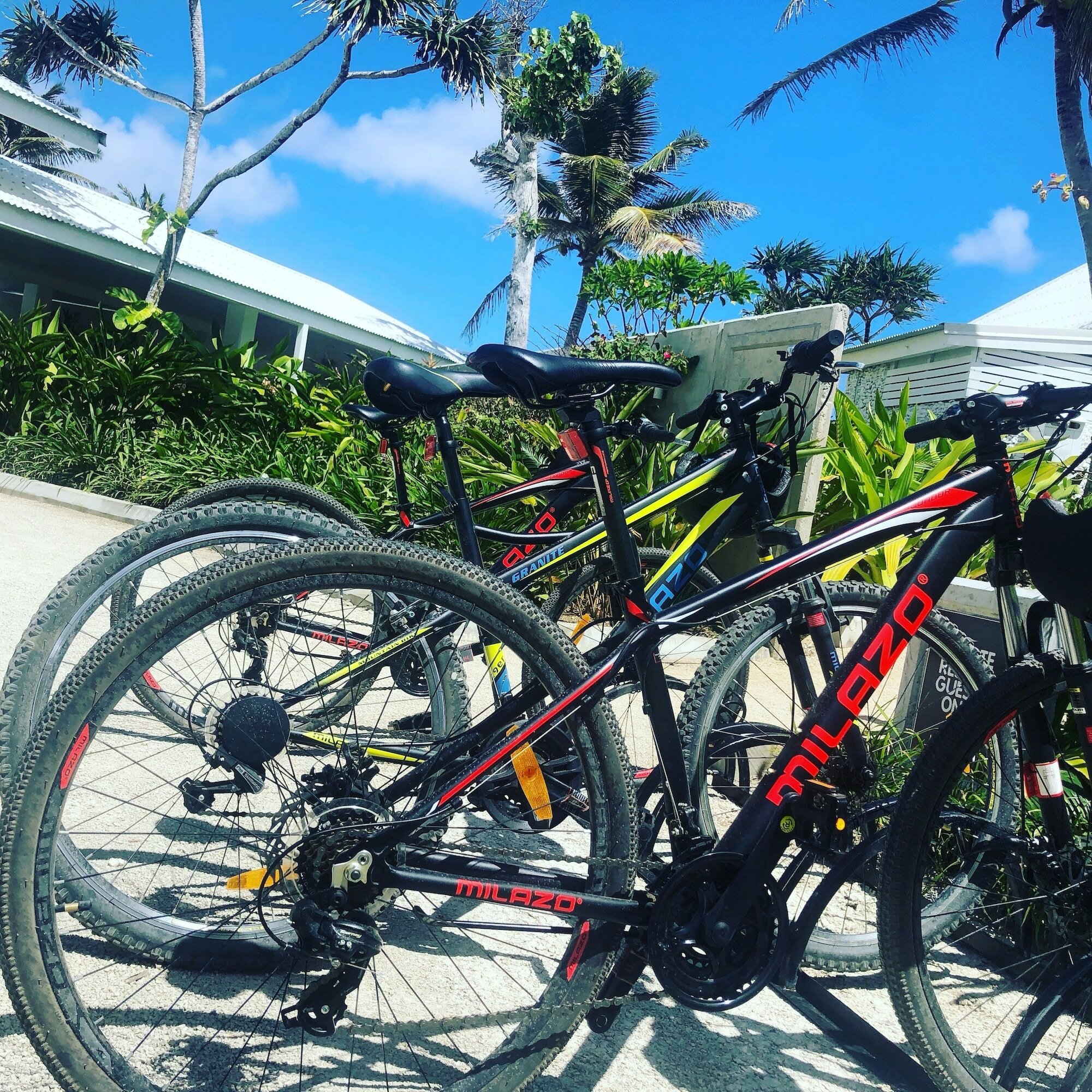 Фото Tamanu on the Beach