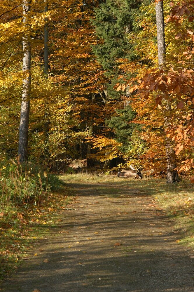 Фото Hotel De Bilderberg