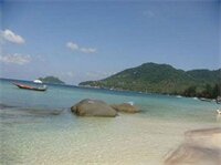 Фото Wind Beach Resort