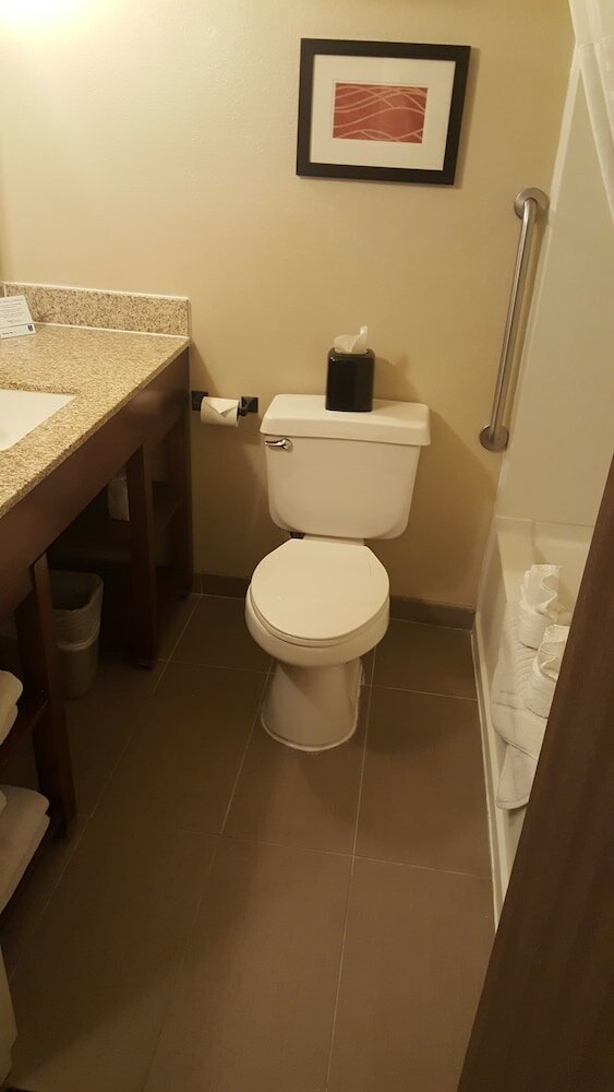 Фото Comfort Inn Idaho Falls