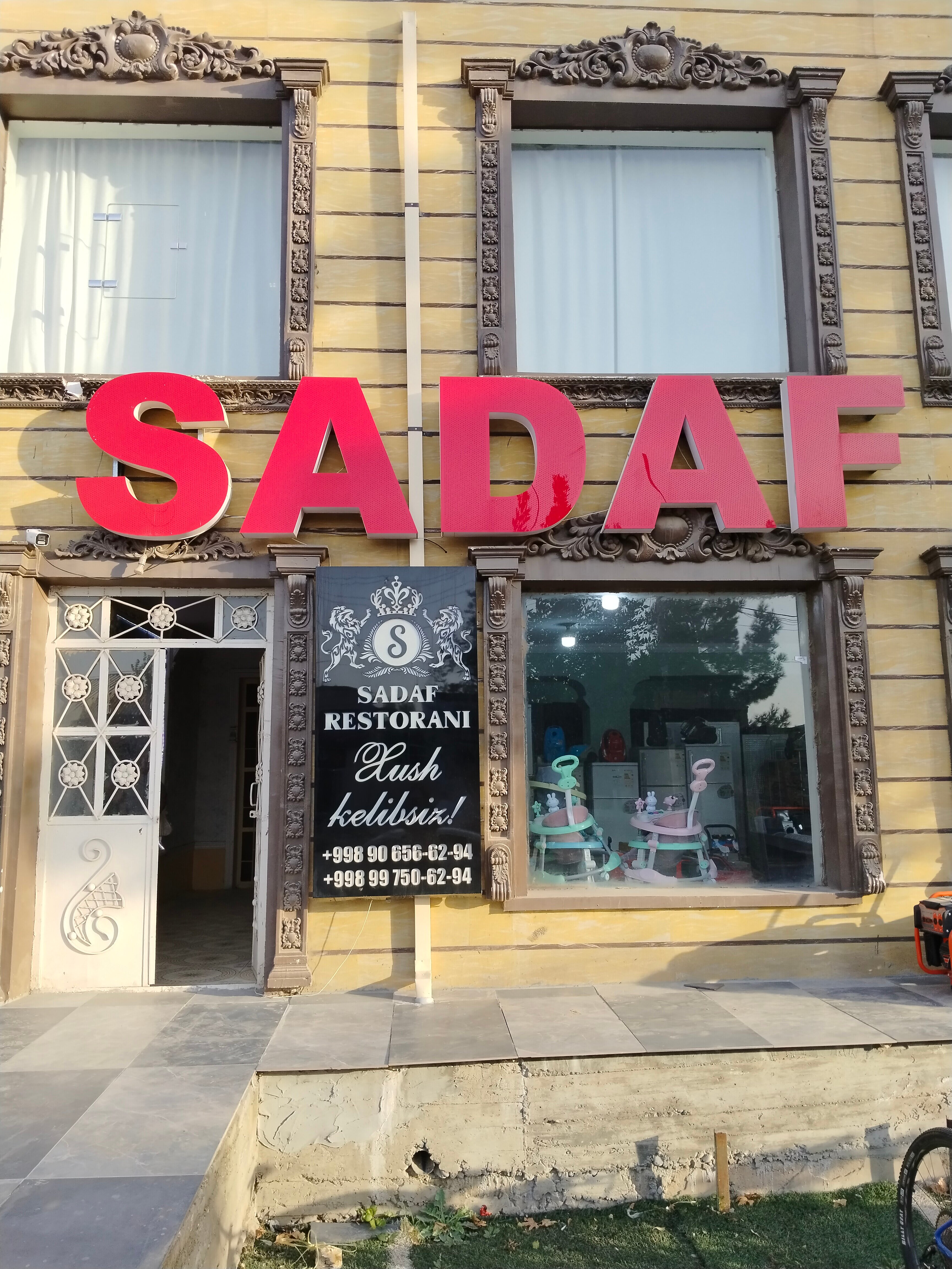 Ozarbayjon mushuk surati