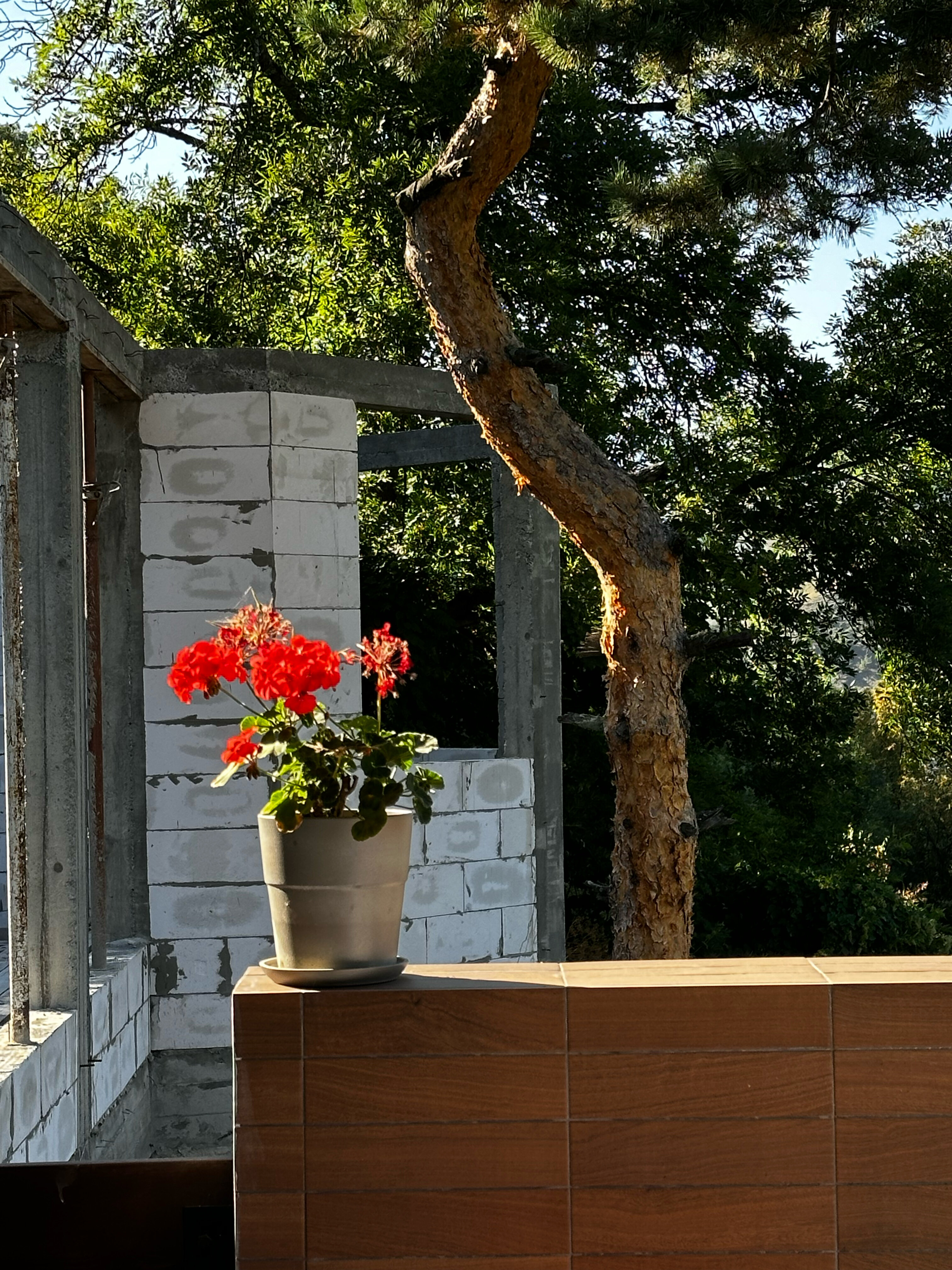 Фото Горы. Маша. Армхи