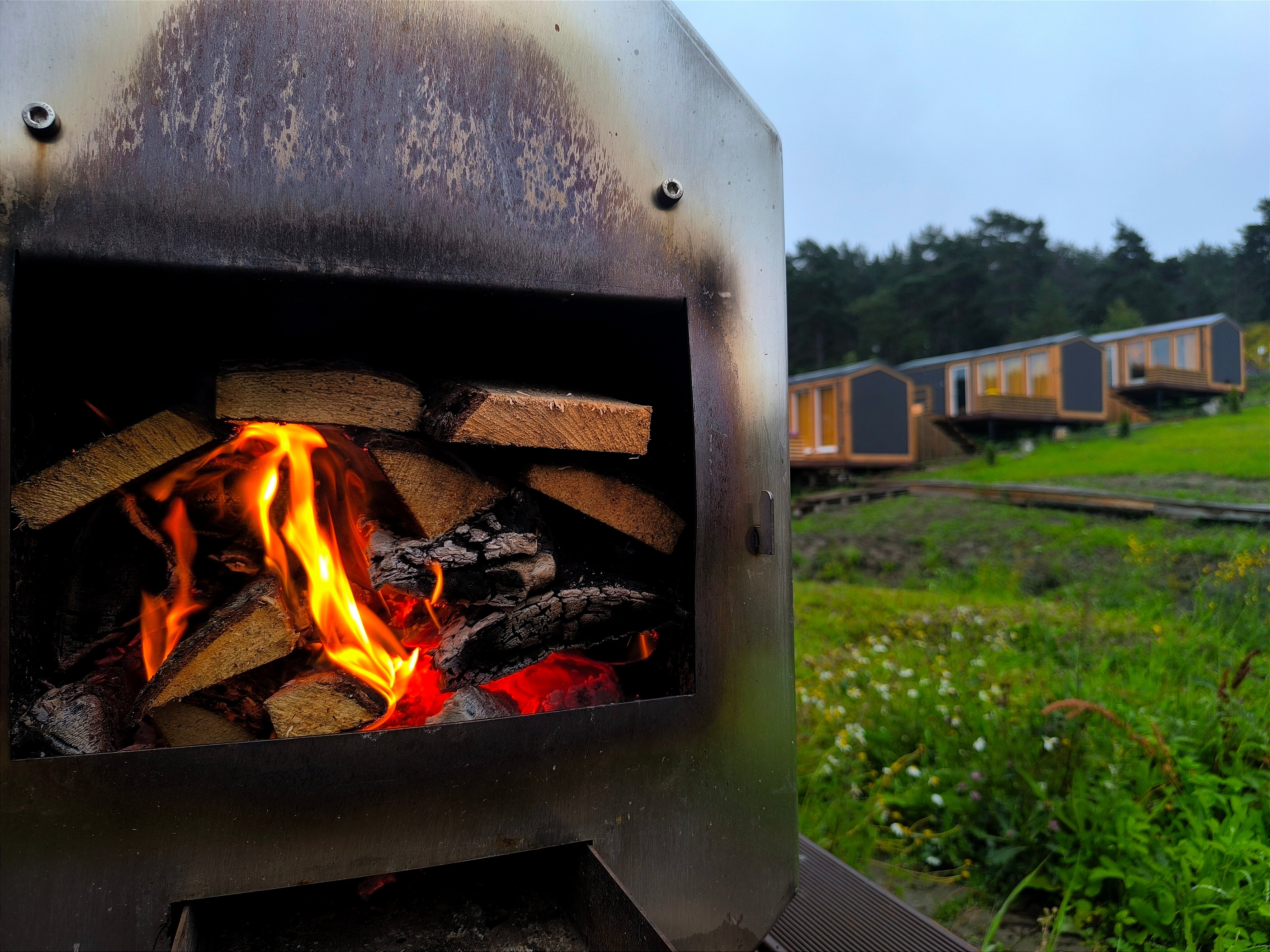 Фото Ёлки-Ладога