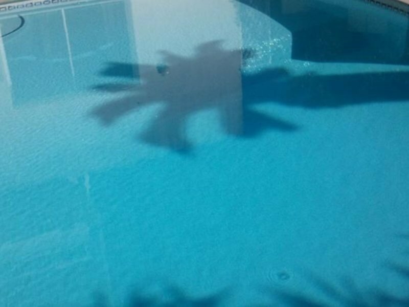 Фото Hotel de la Mer