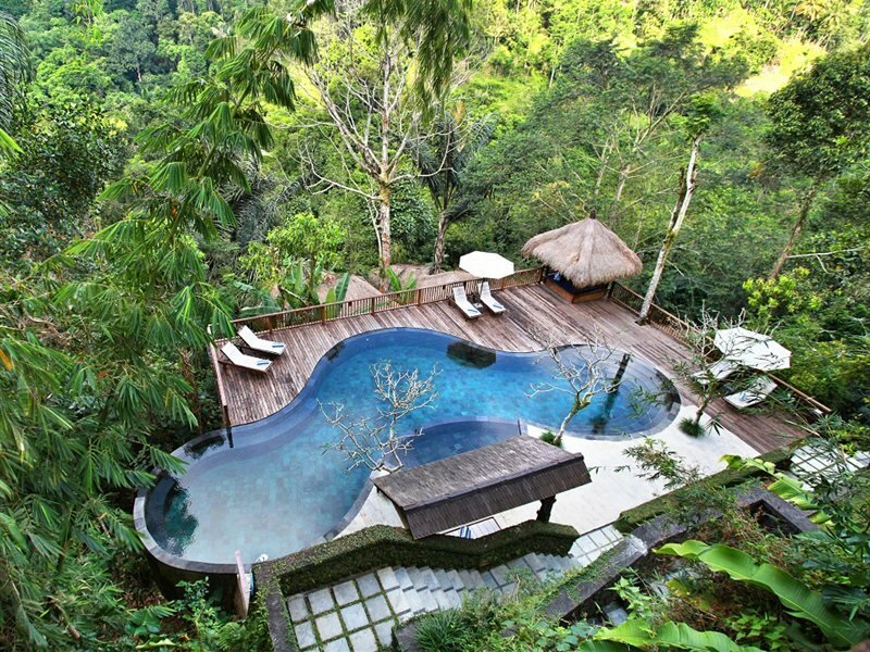 Фото Nandini Jungle by Hanging Gardens