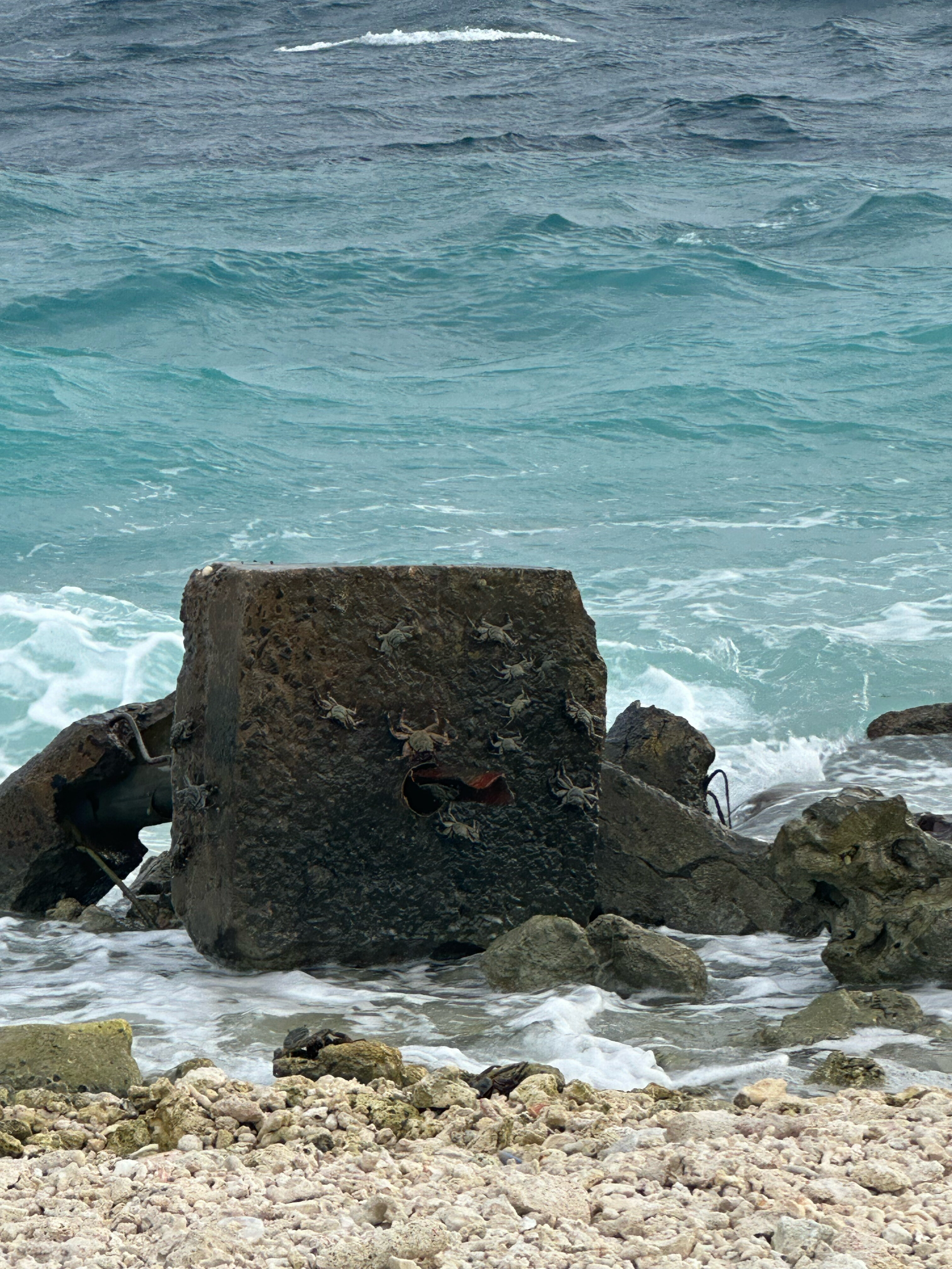 Фото Dhonfulhafi Beach View & SPA