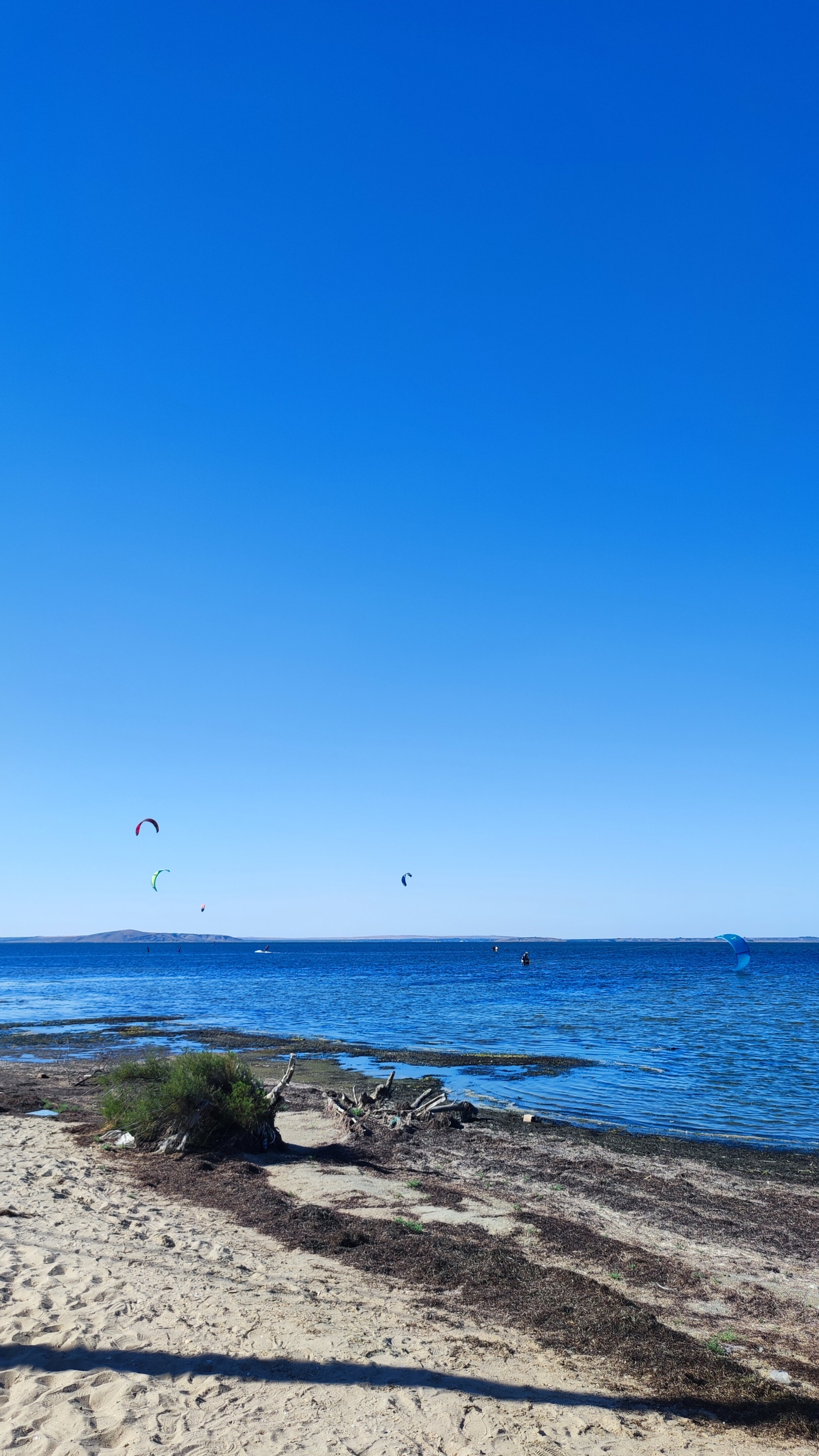 Фото Море Мур