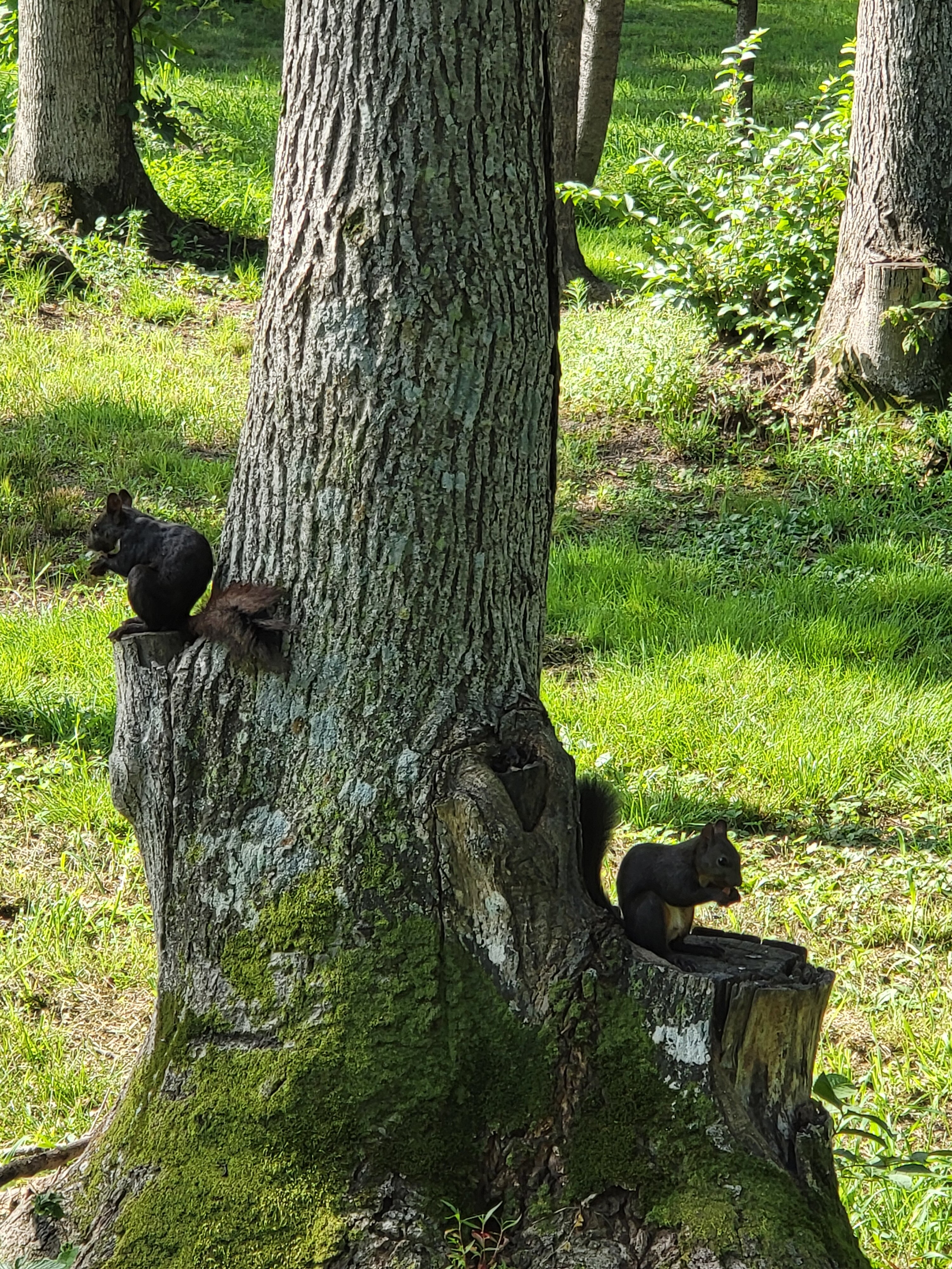 Фото Роял Парк Отель