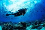 Бездна, этаж 4 (Kronverkskiy Avenue, 9Б), diving