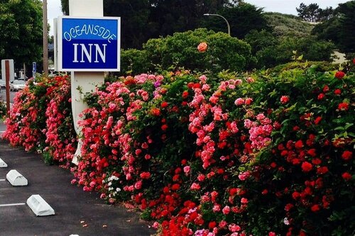 Гостиница Monterey Oceanside Inn в Монтерее