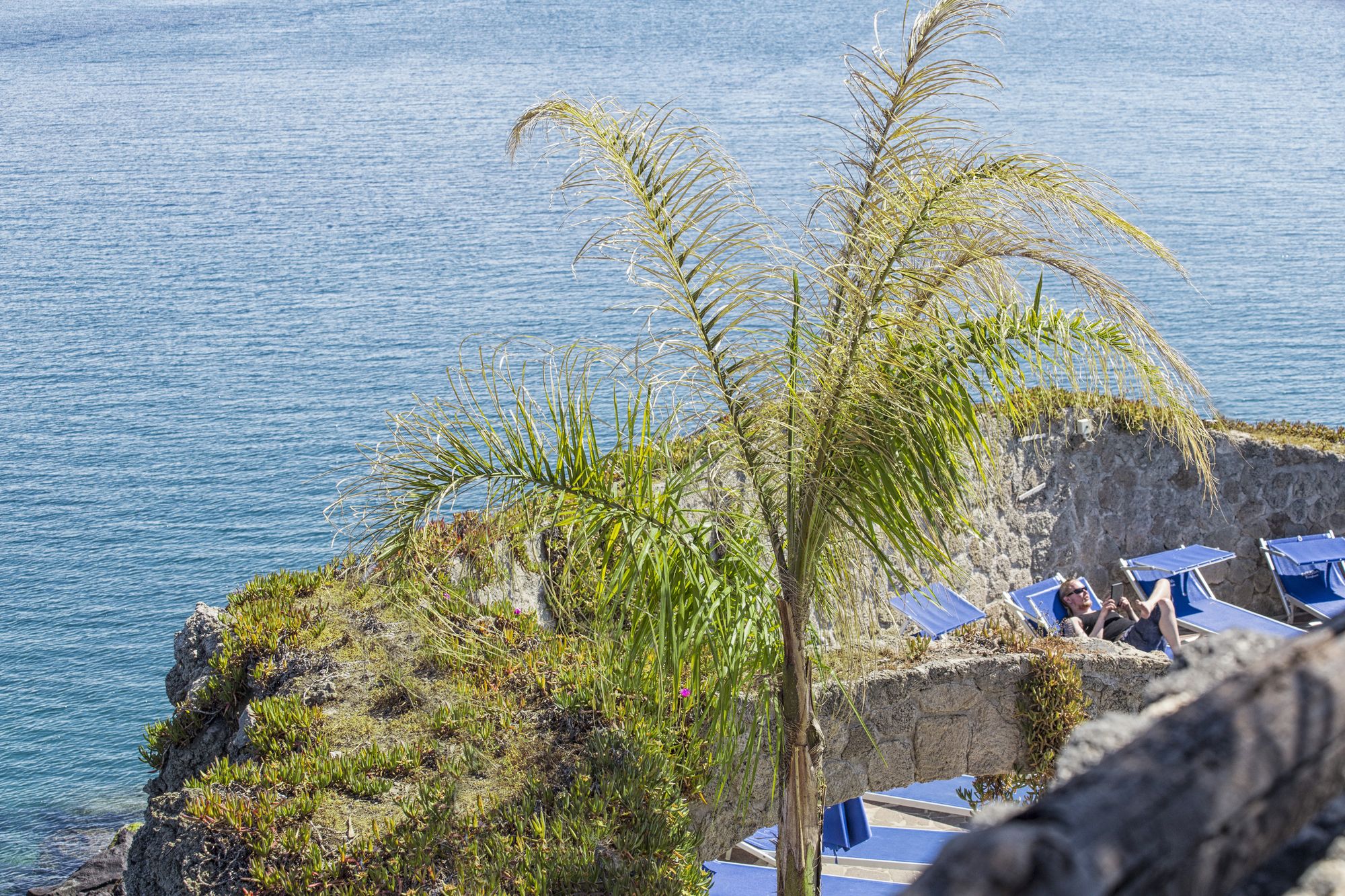 Фото Hotel Pagoda