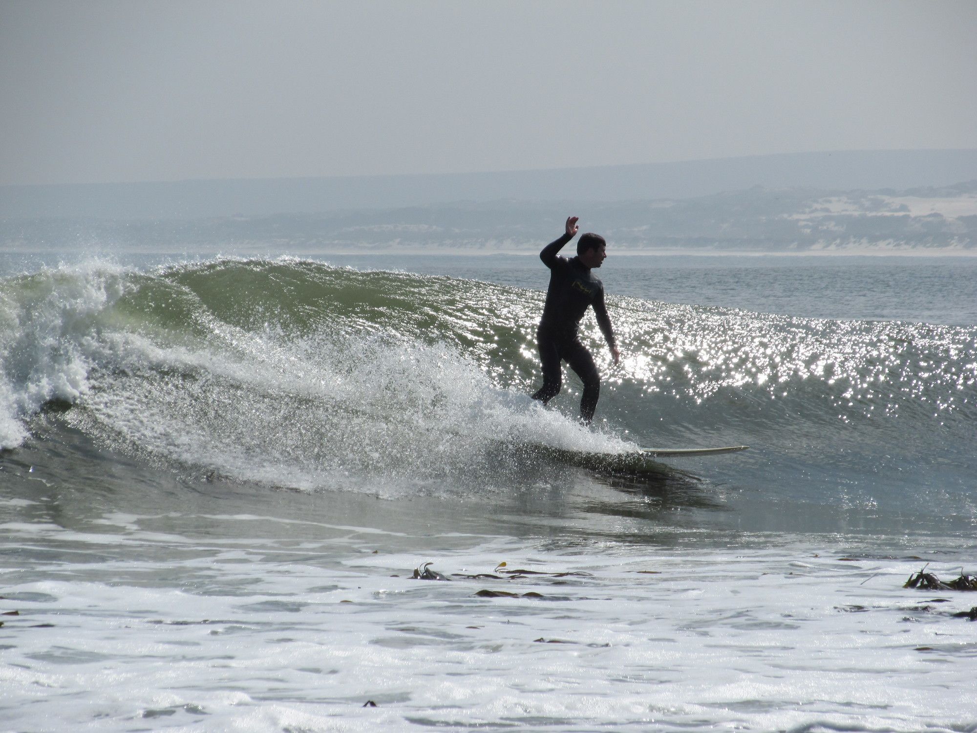 Фото Bluebottle Guest House