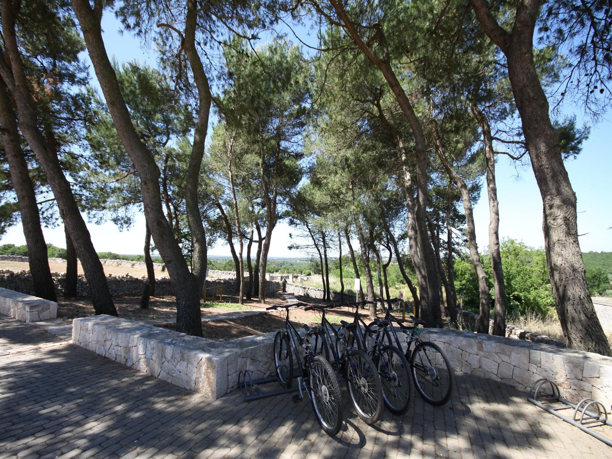 Фото Victor Country Hotel