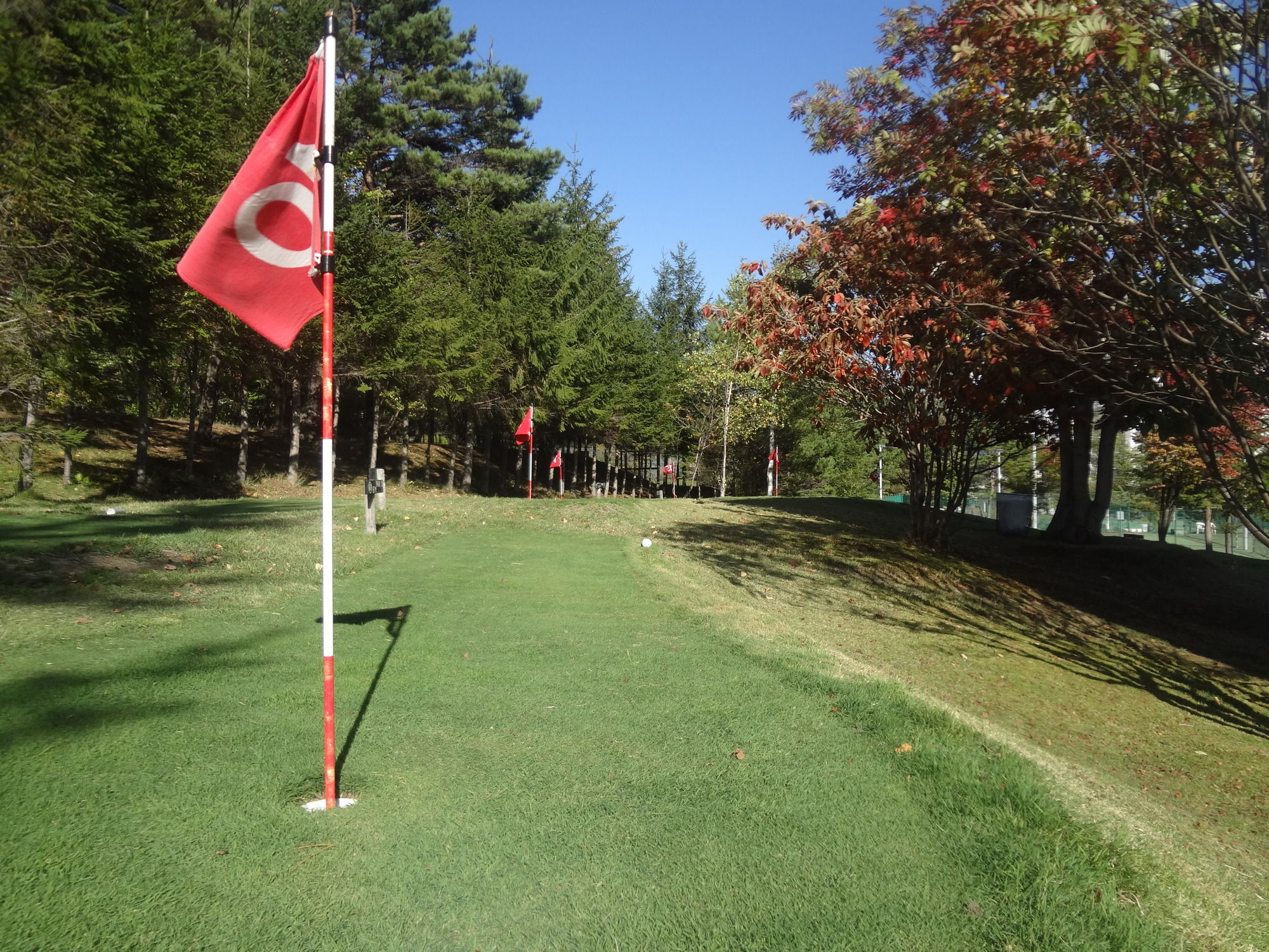 Фото 181965387168