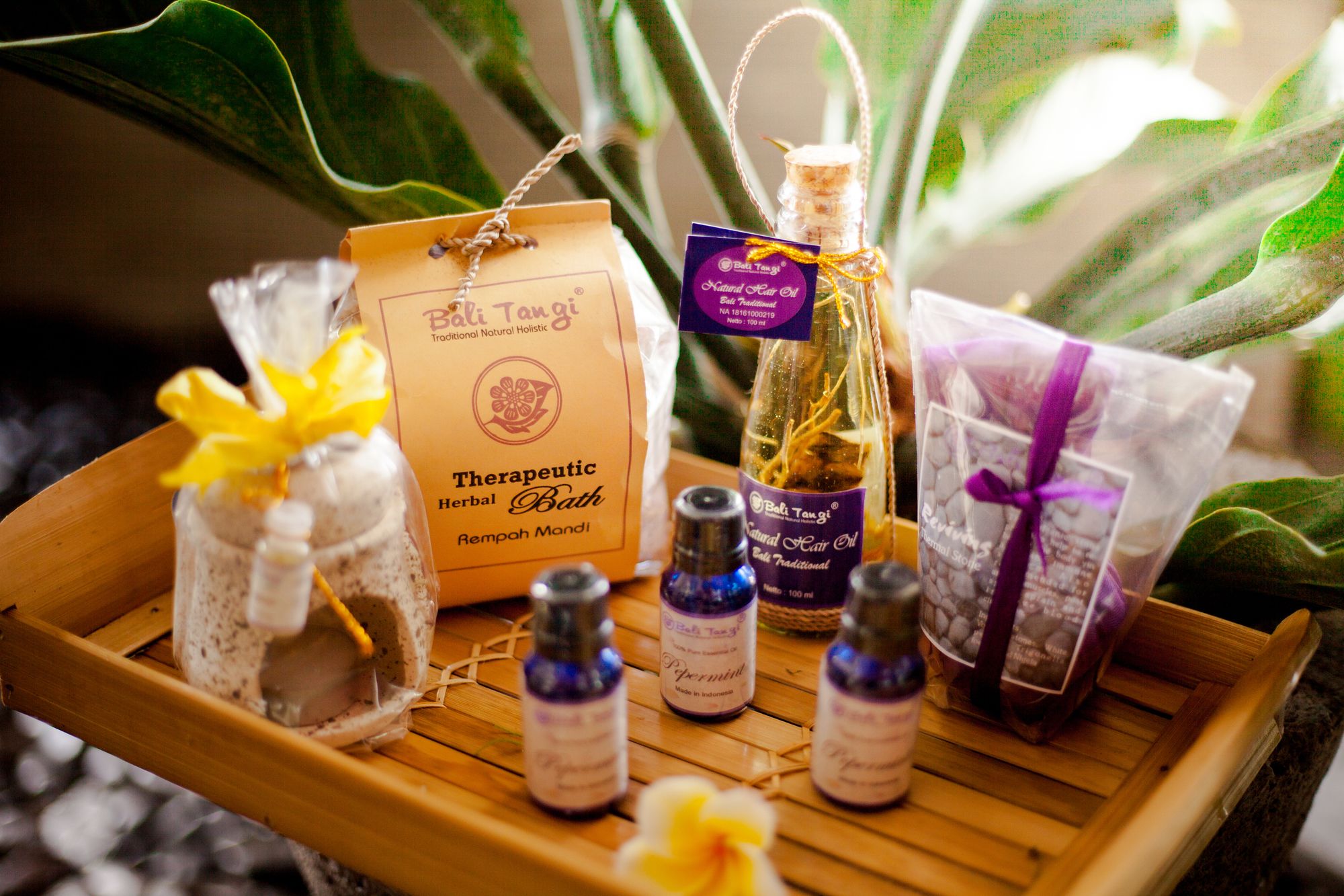 Фото Grandmas Plus Hotel Airport