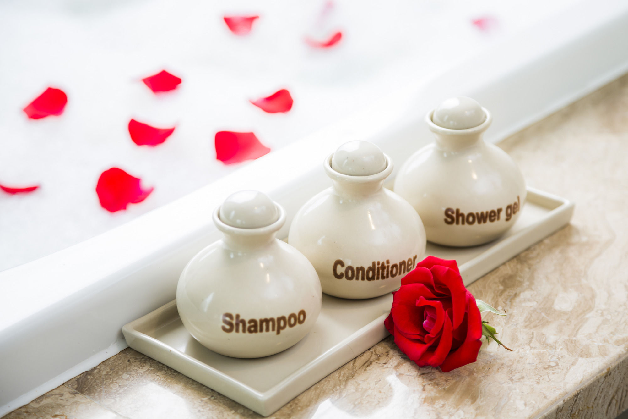 Фото Alana Nha Trang Beach