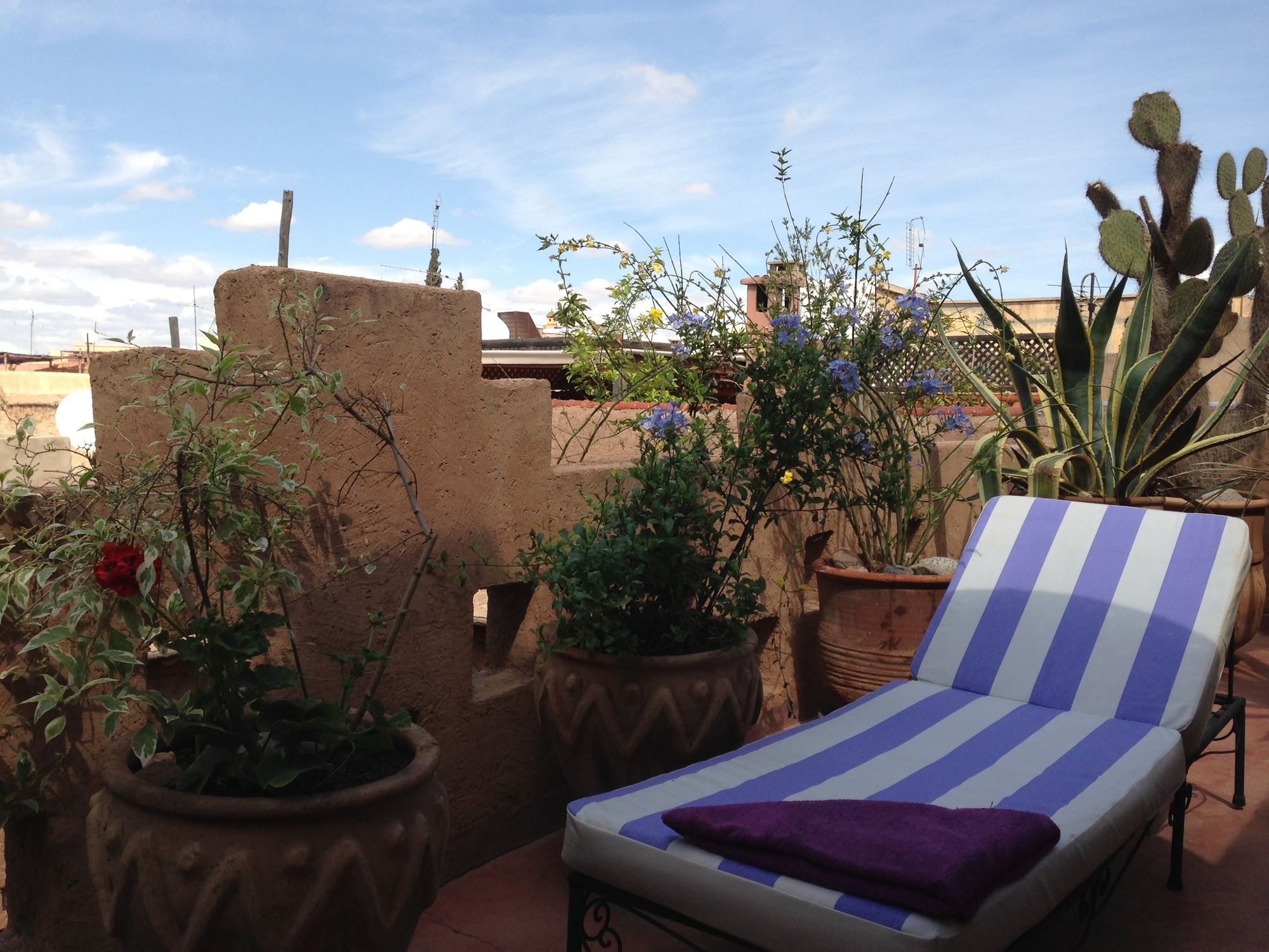 Фото Riad Mehdia