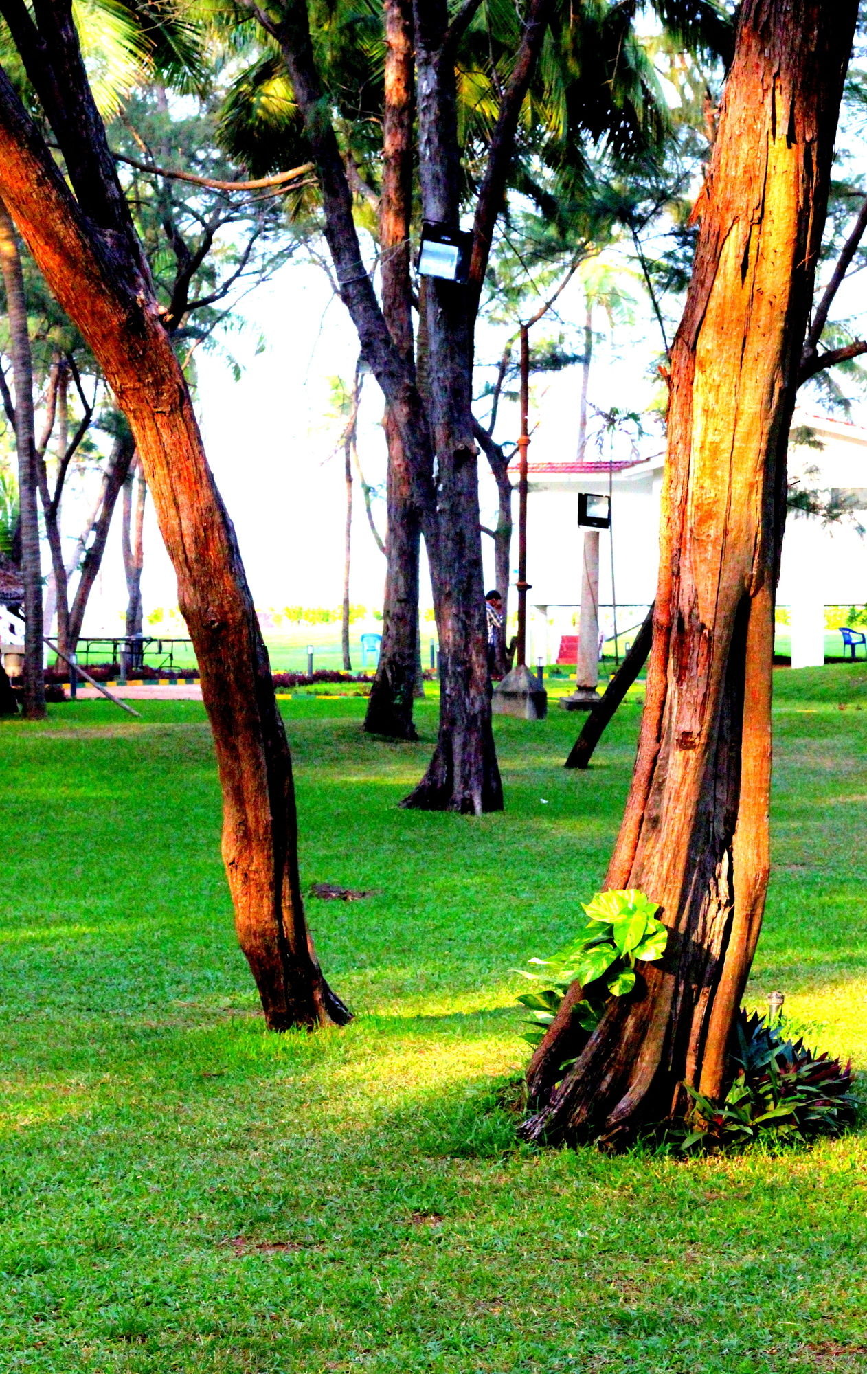 Фото Vgp Golden Beach Resort