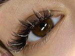 Pod pinzetom (Beregovaya Street, 117Бс7), eyebrow and eyelash salon