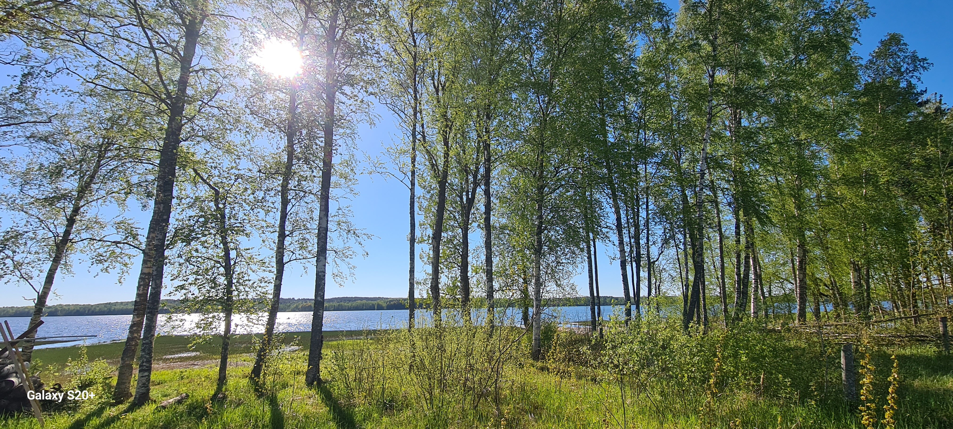 Фото Мамонт на озере