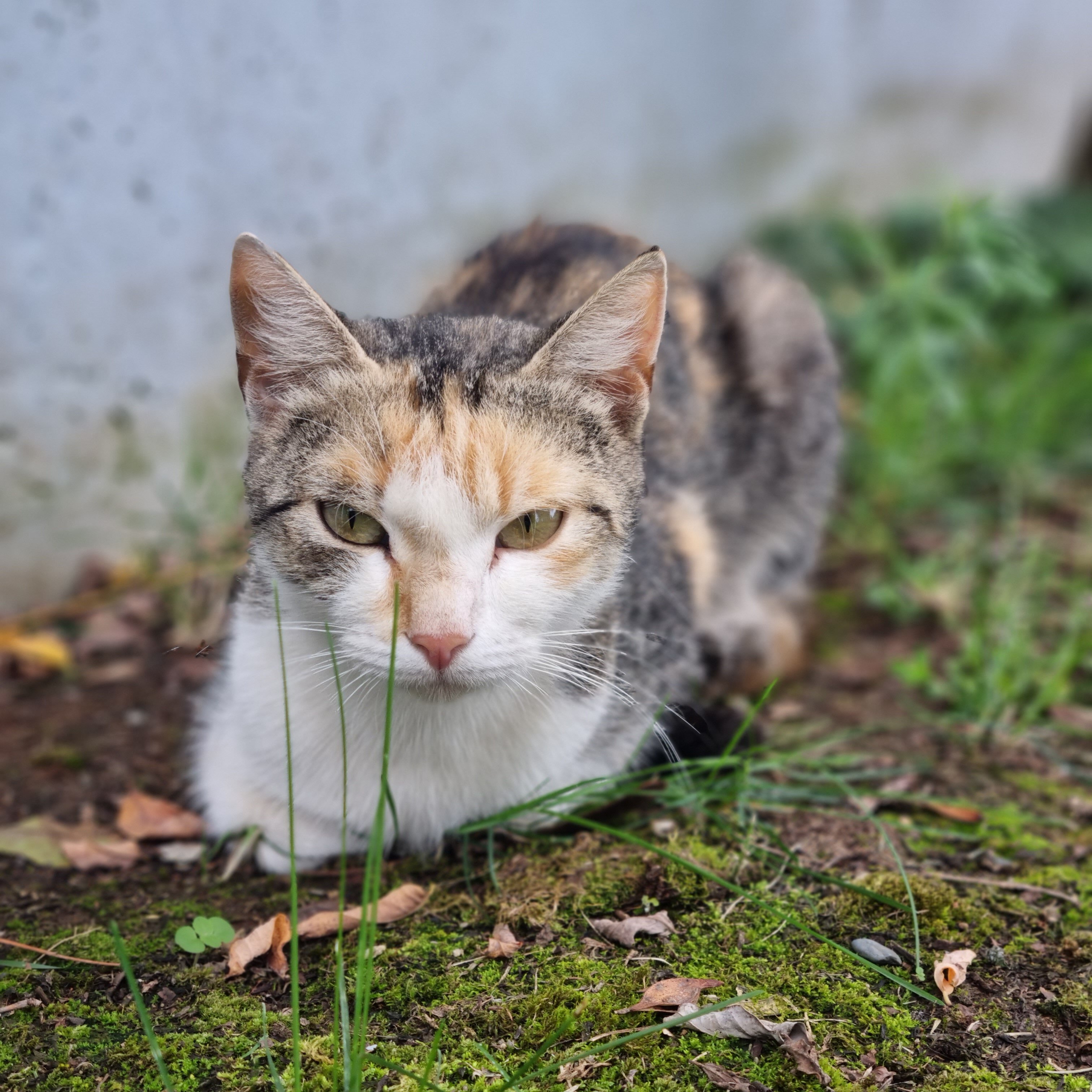 Фото Усадьба