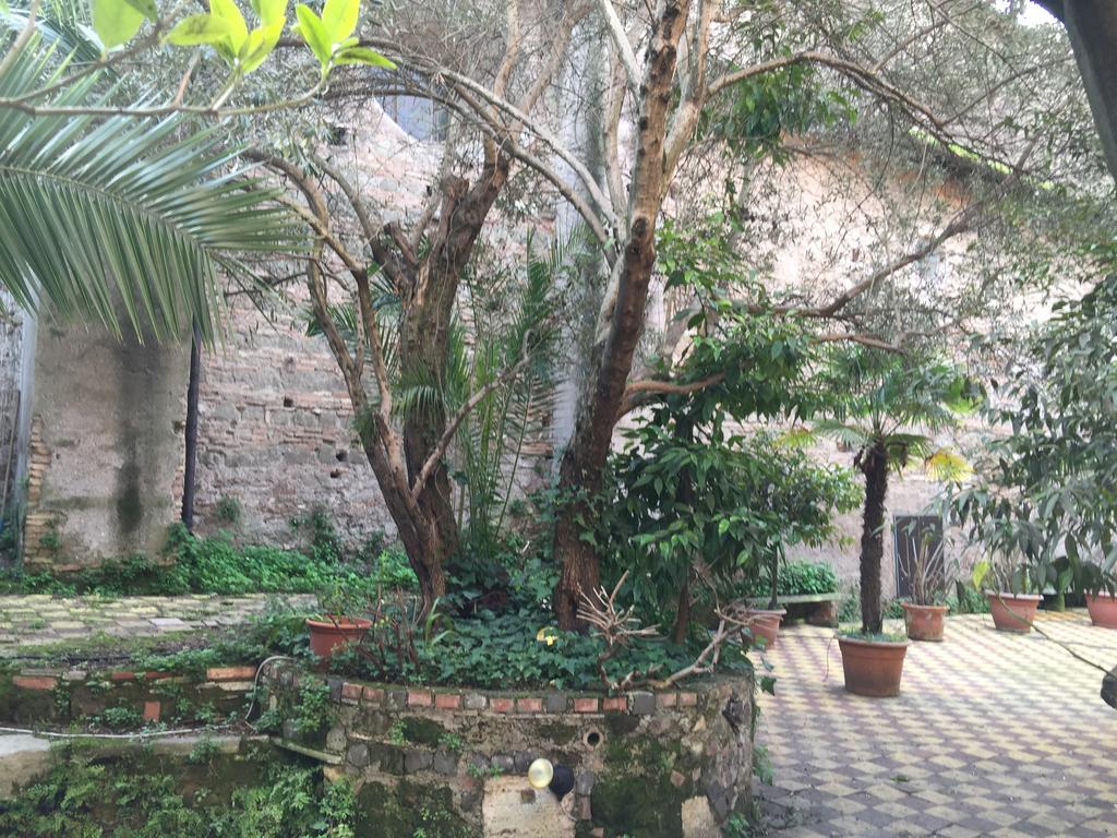 Фото Hotel Domus Aventina