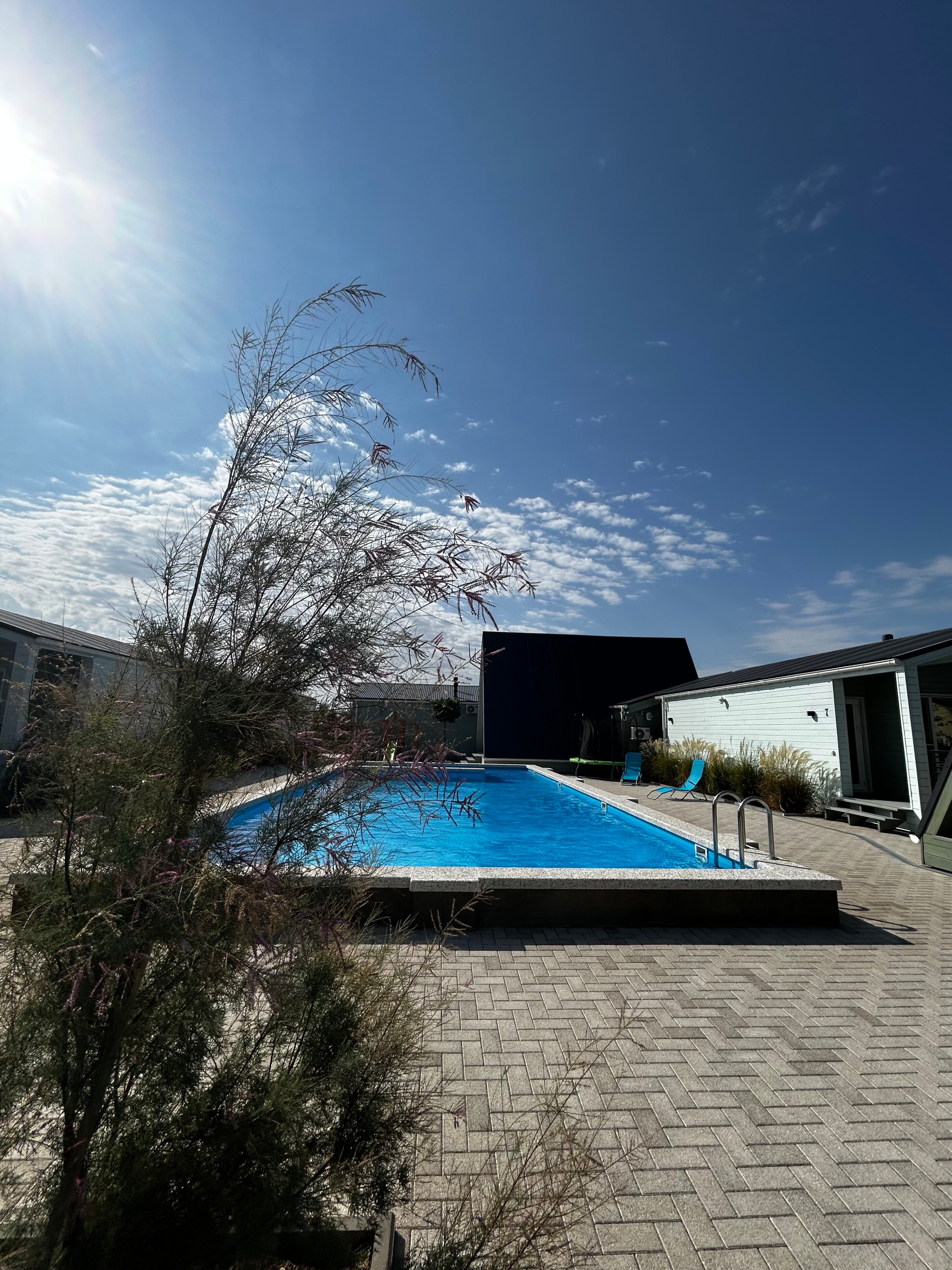 Фото Ботаники