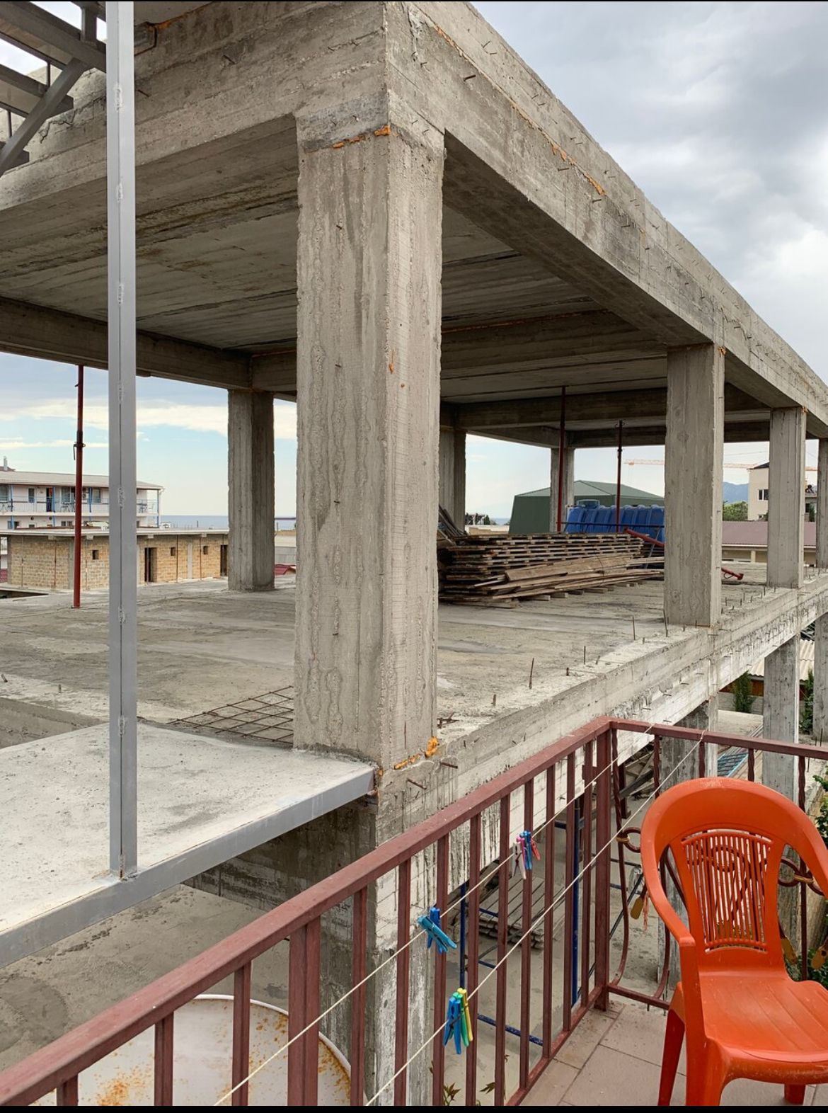 Фото Кипарис