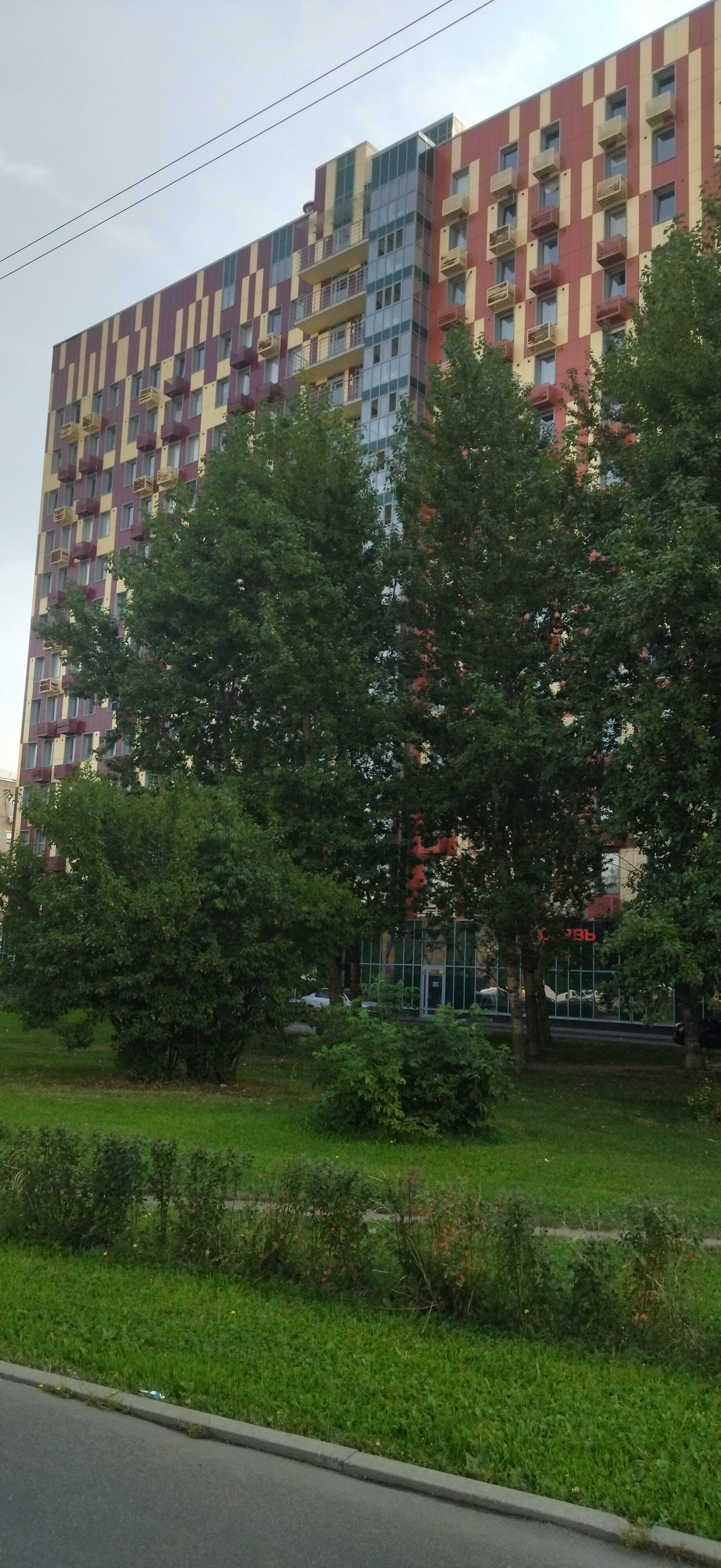 Фото Гринка