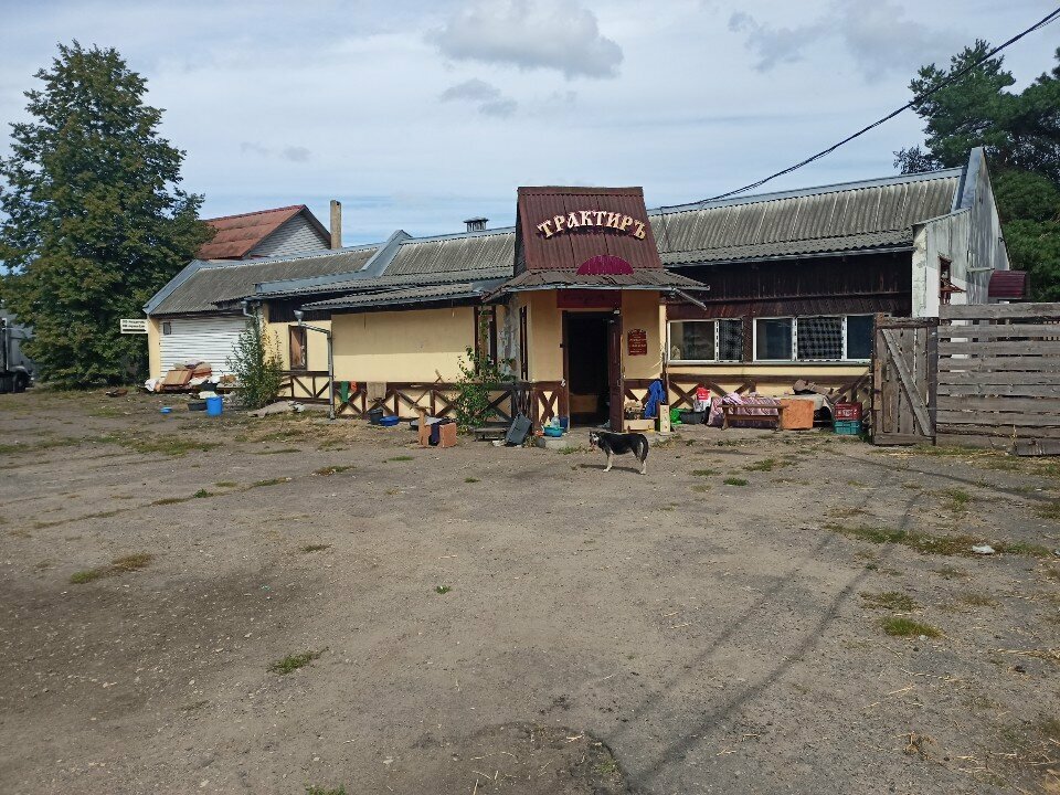 Animal shelter Хатико, Bobruisk, photo