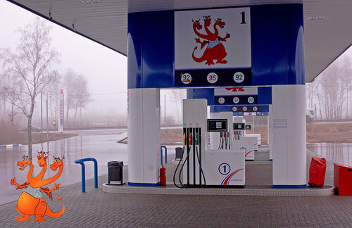 Gas station Zmej Gorynych, Ryazan Oblast, photo