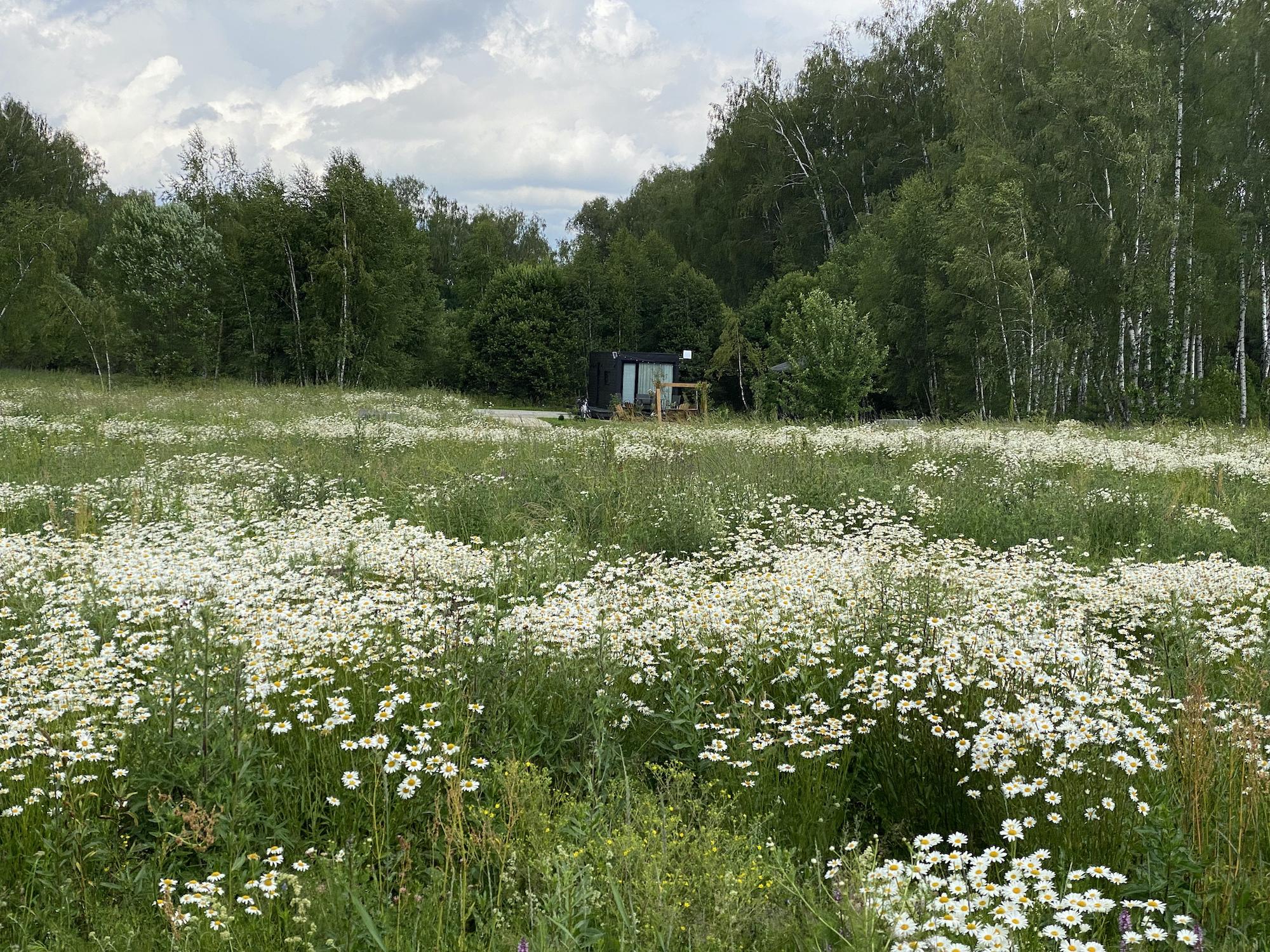 Фото Усадьба Ягодное