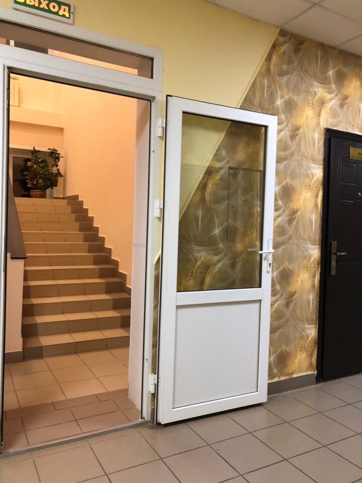 Фото Багира