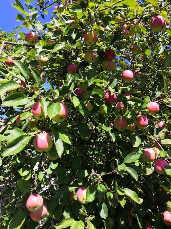 Фото Избушка