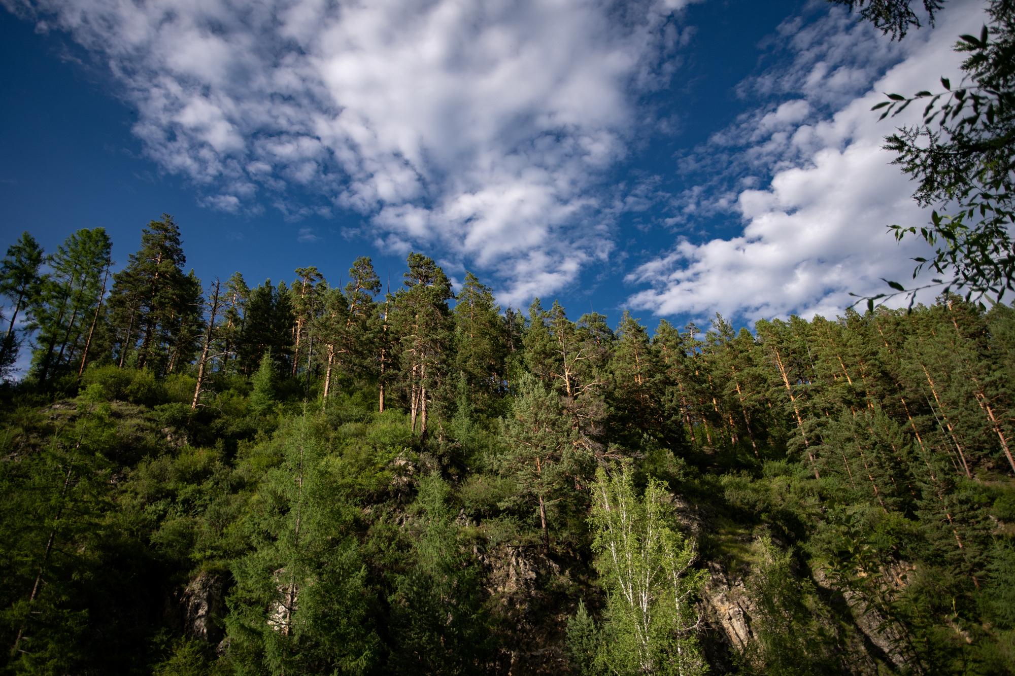 Фото Энергетик