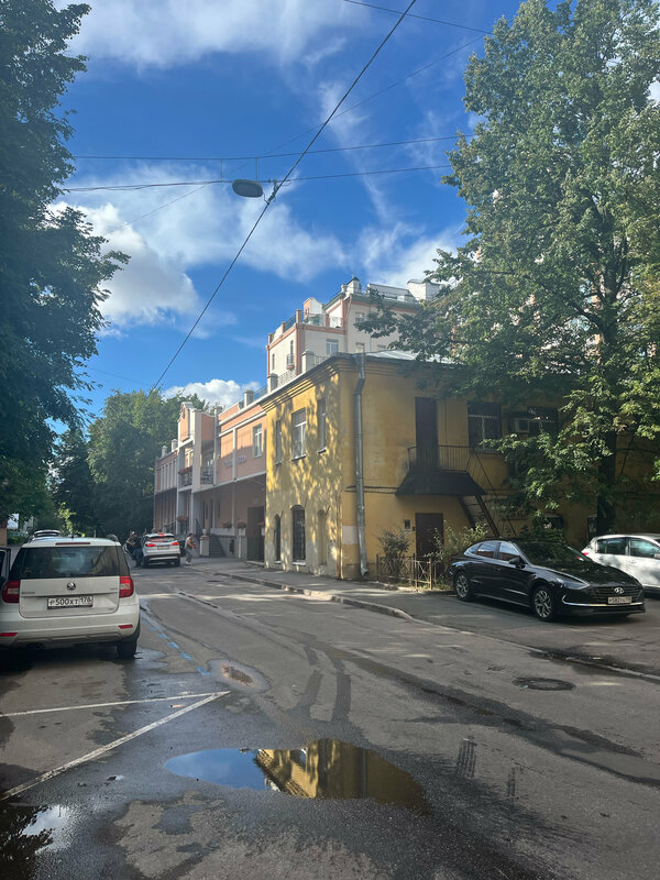 Регина — фото 47