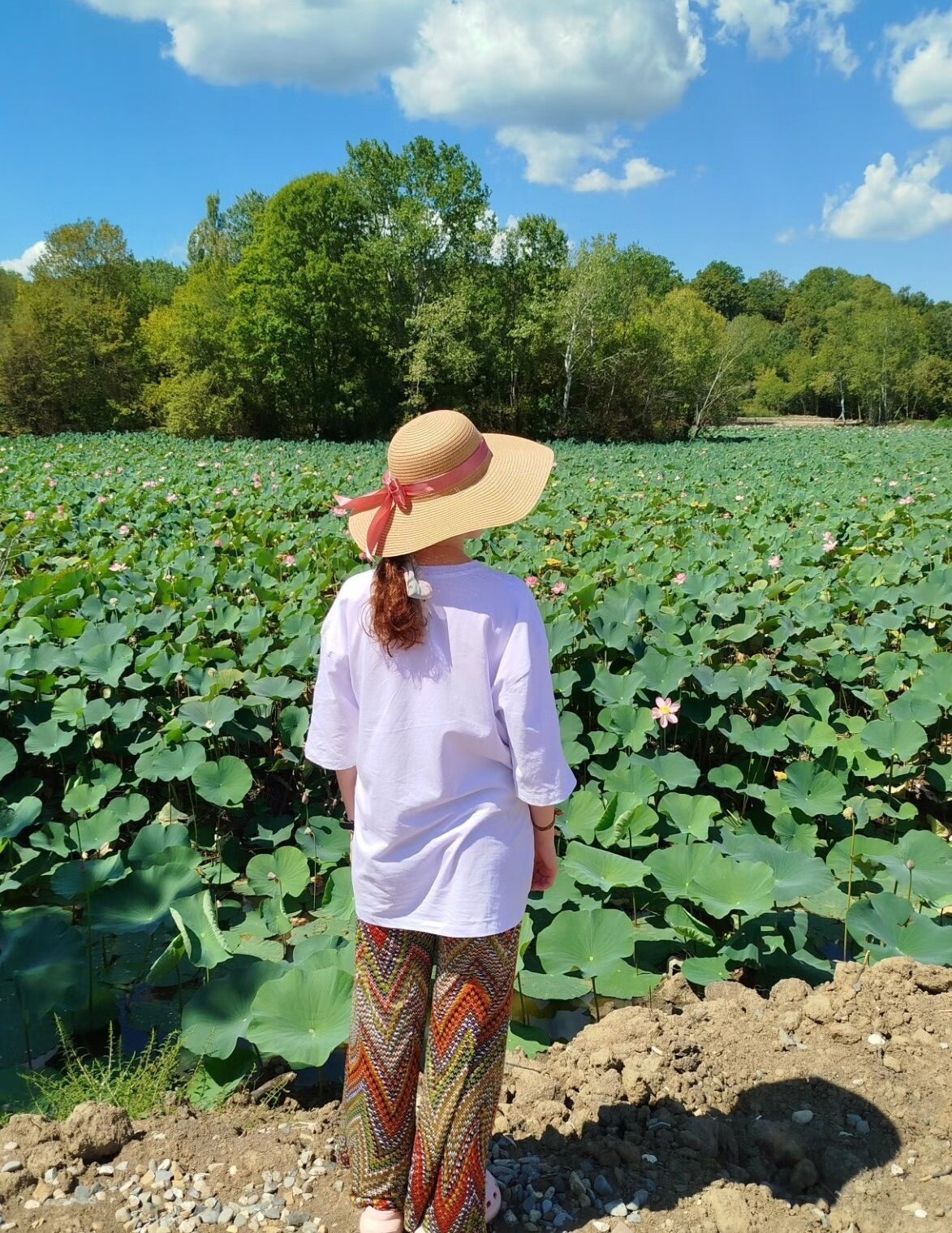 Фото Предгорье