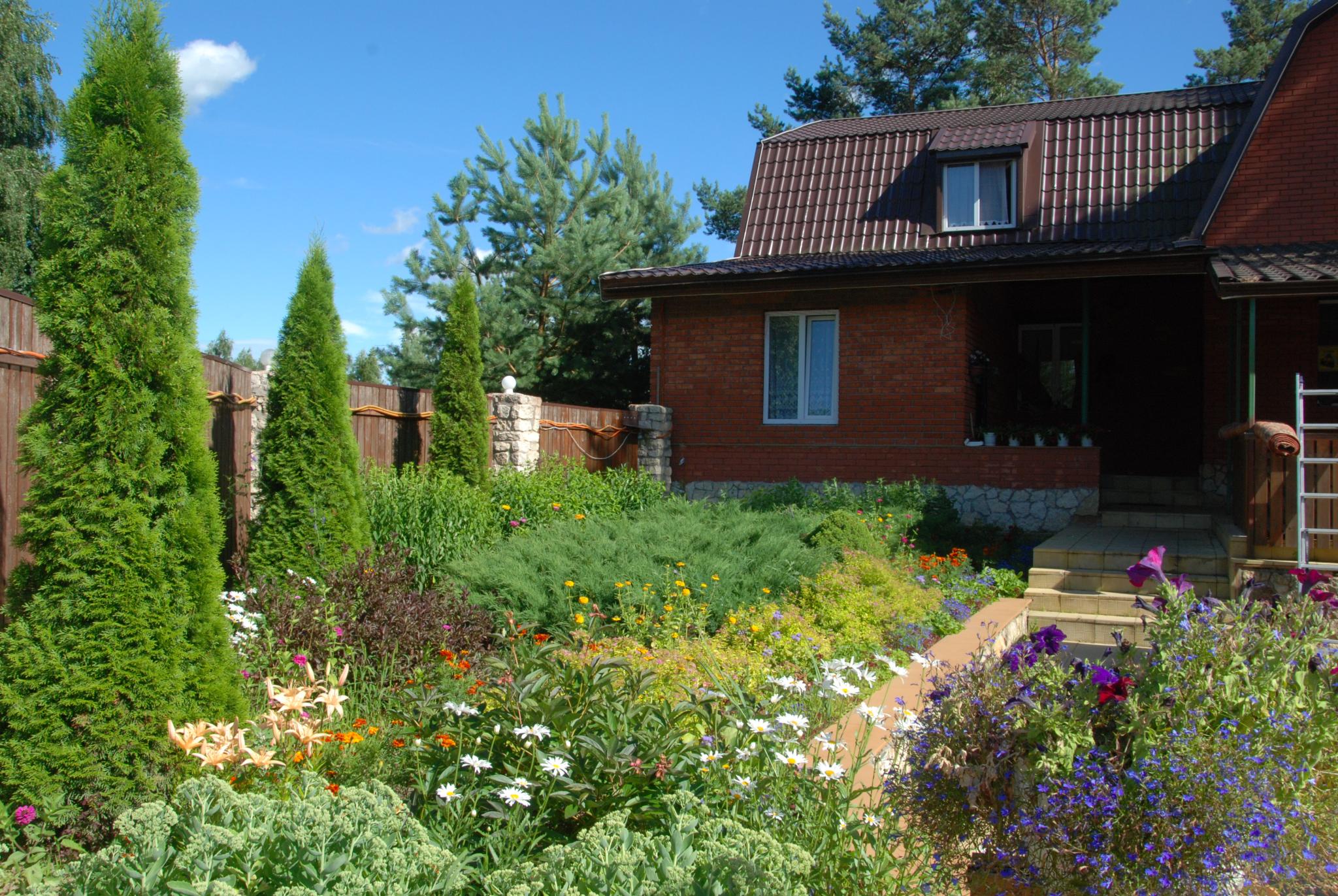 Фото Смоленка