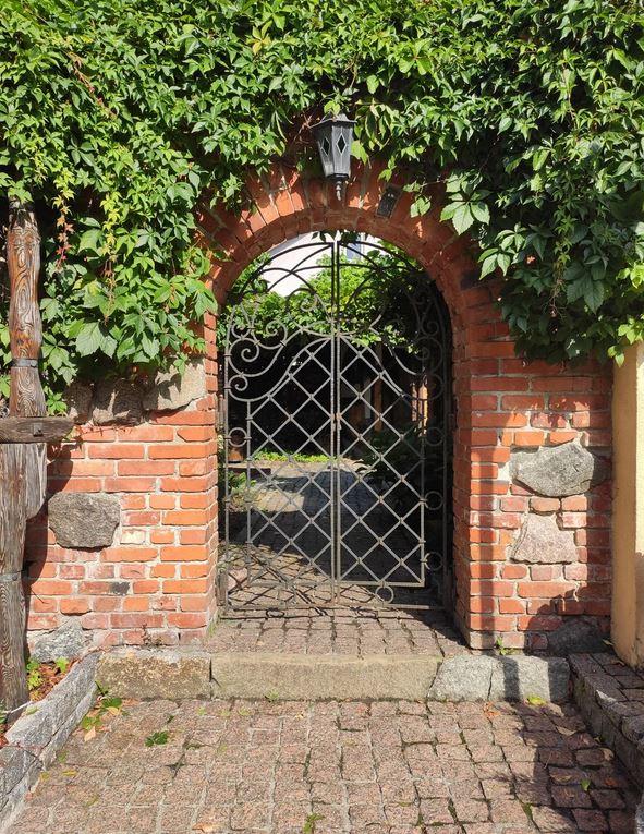 Фото Шкипер