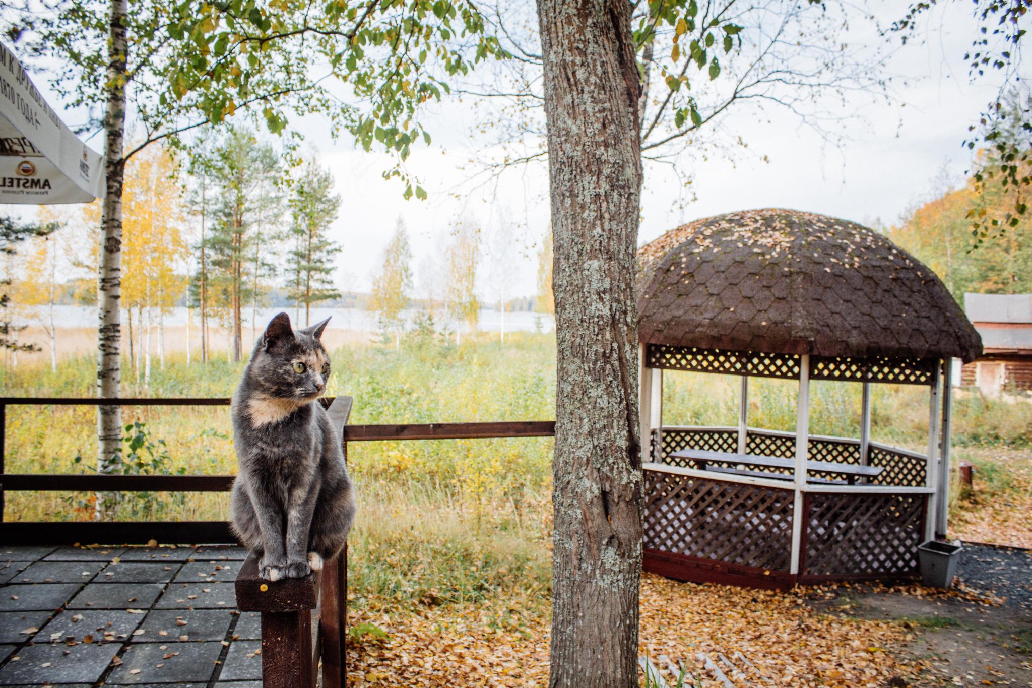 Фото Авиаретро