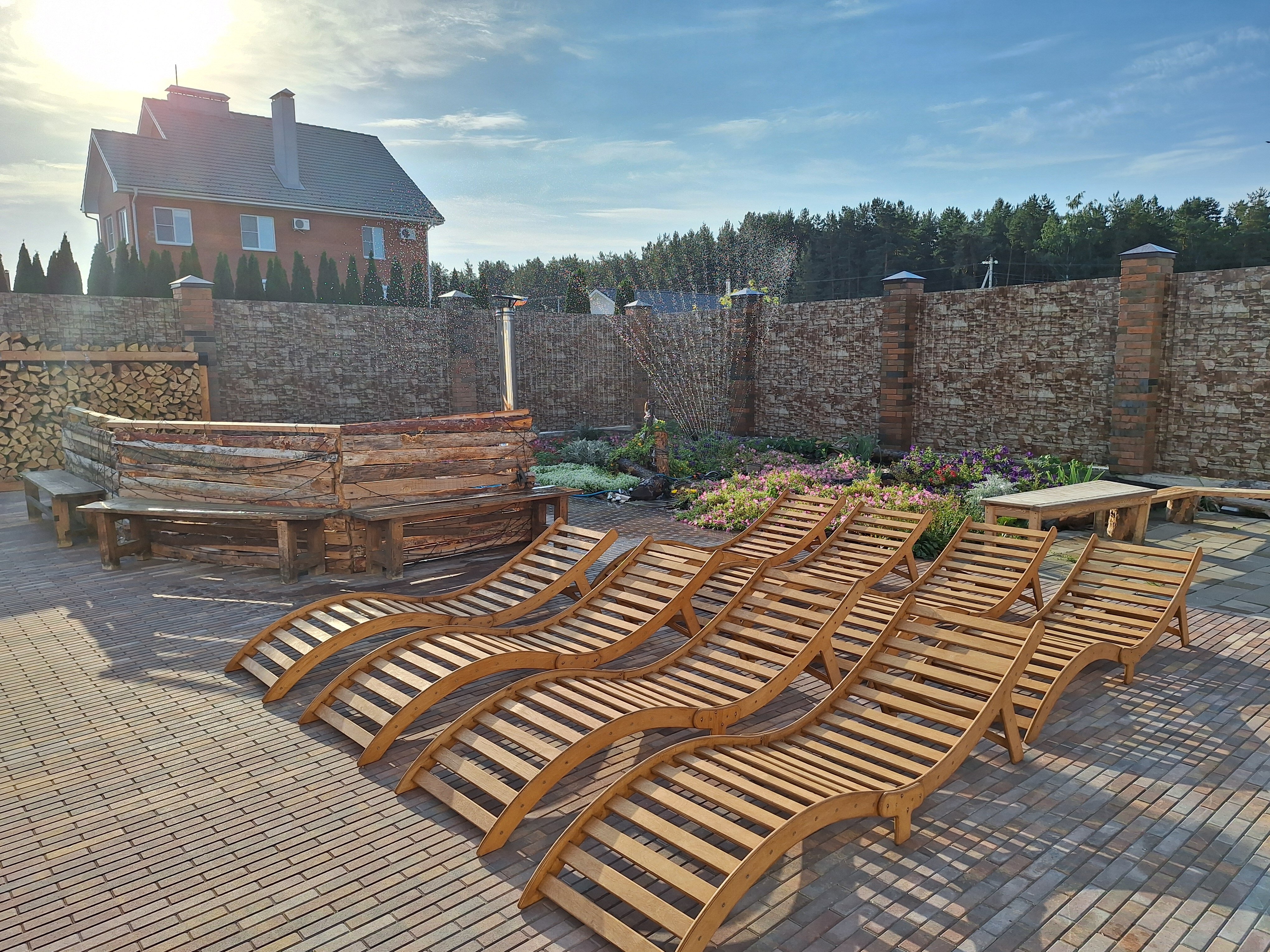 Фото Папоротник