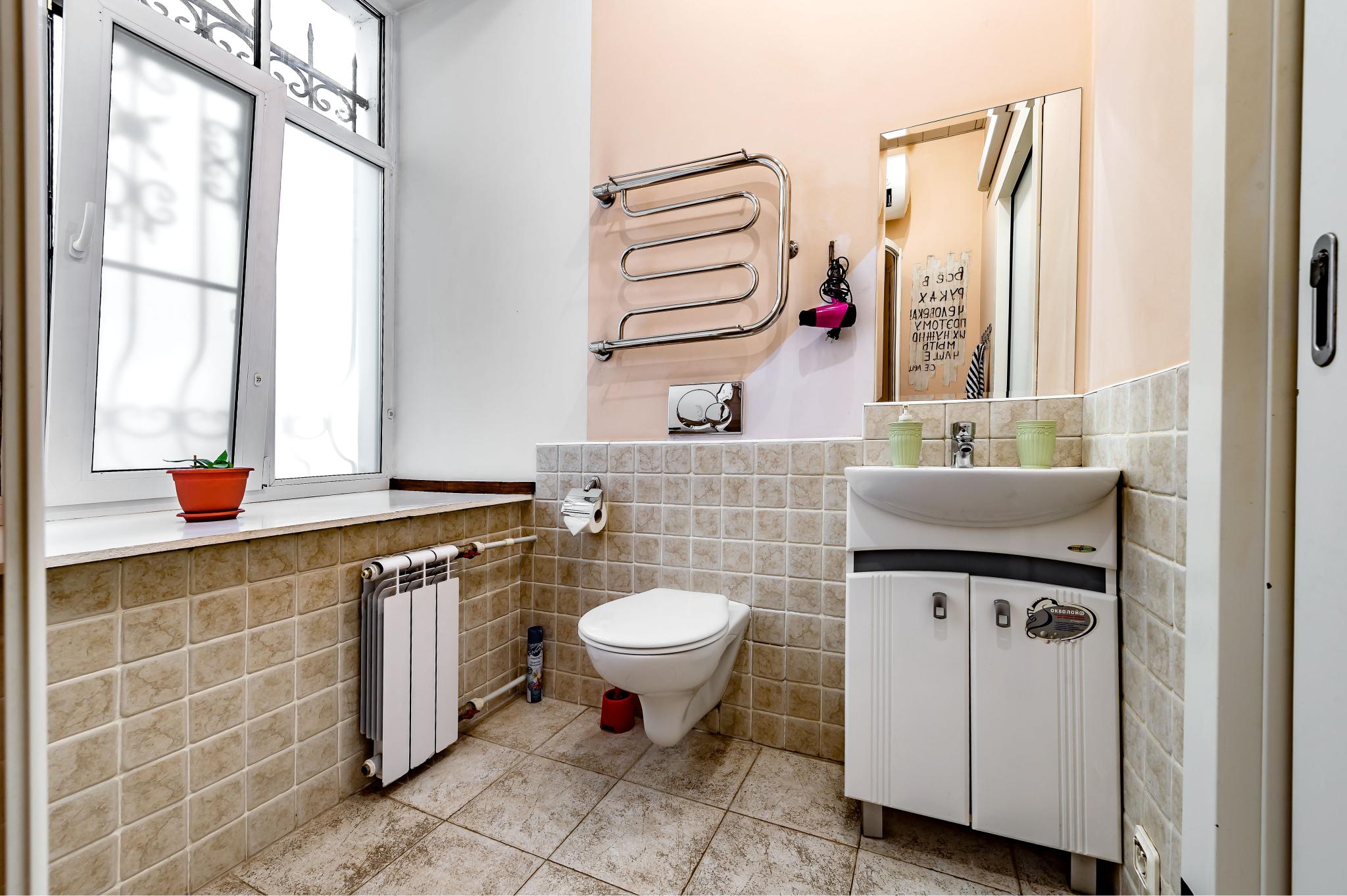 Фото Чайка на Фонтанке