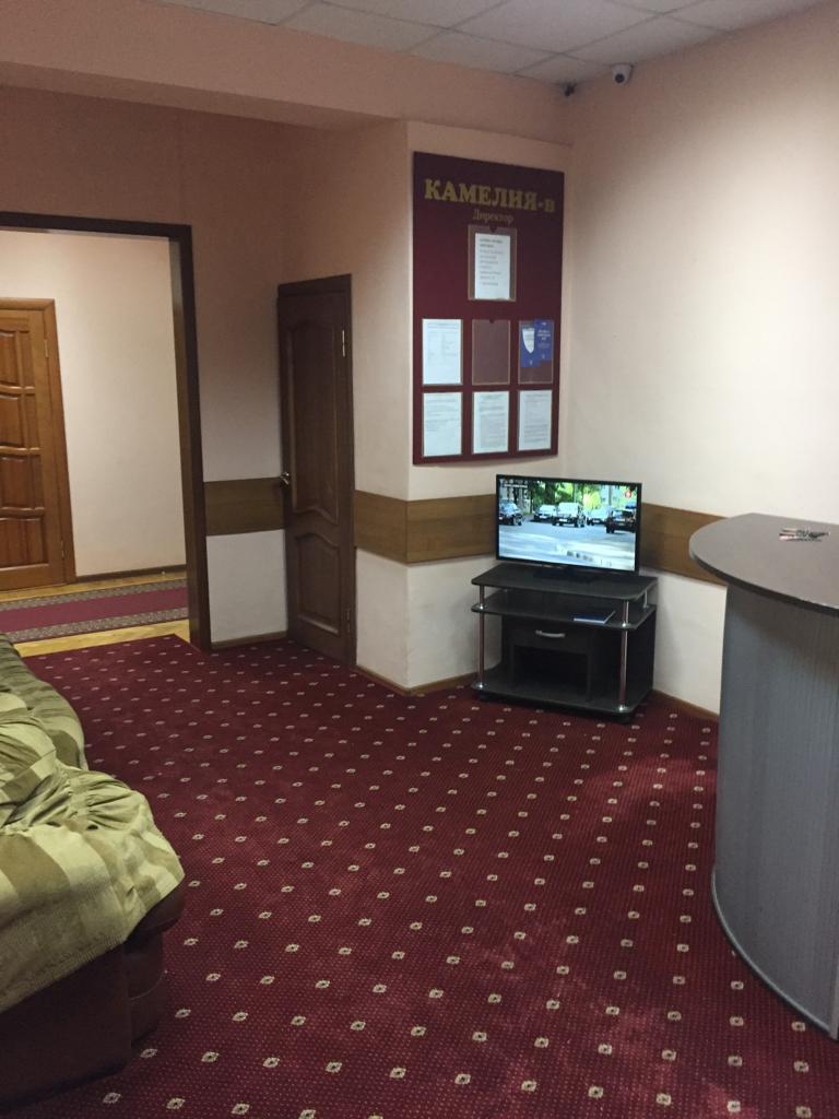 Фото Камелия-В