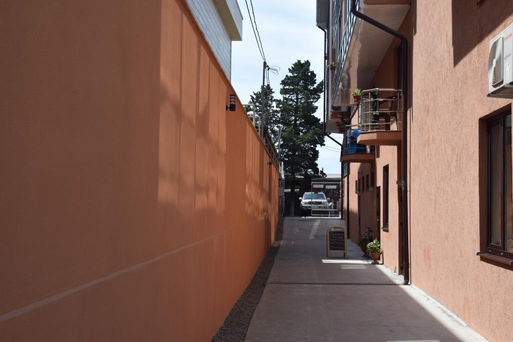 Фото Колибри