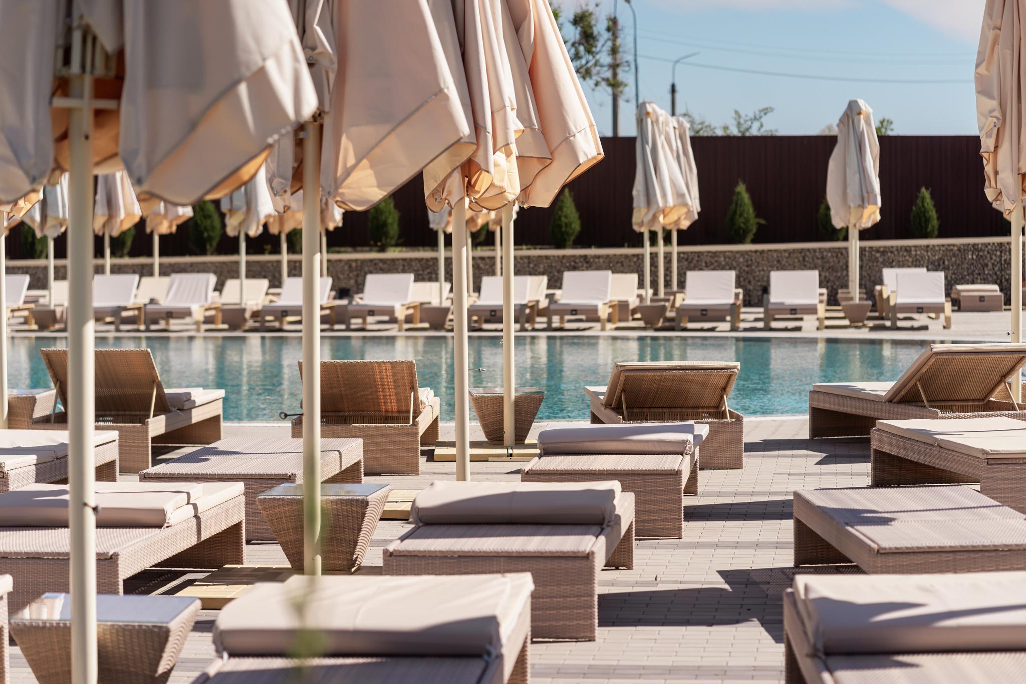 Фото Наша Хвоя