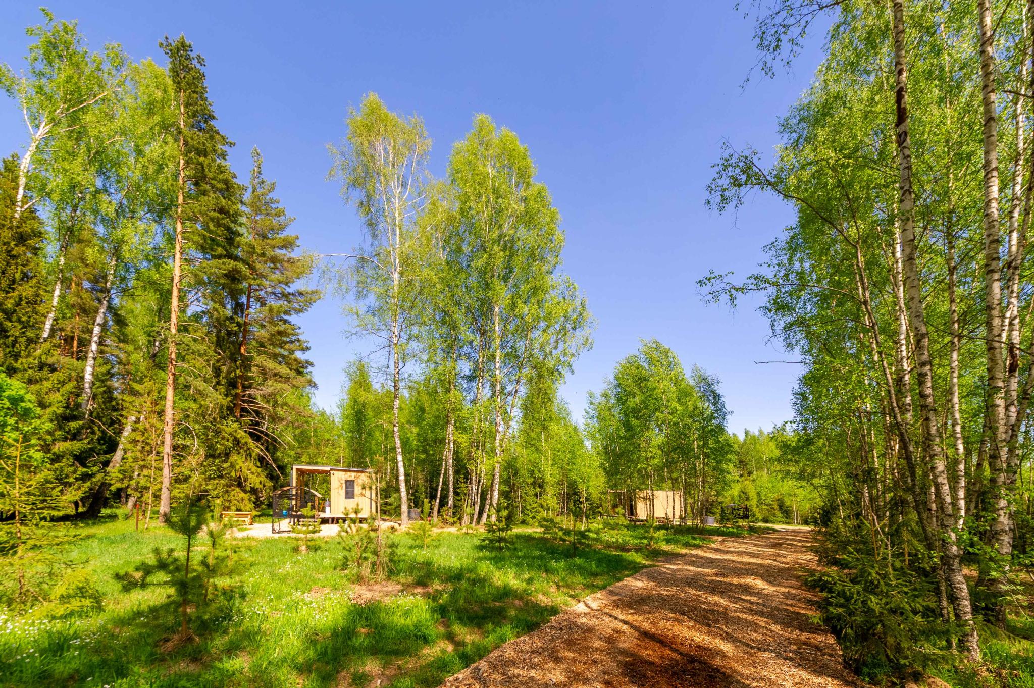 Фото Глэмпинг След Лося