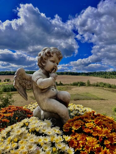 Гостевой дом La Collina