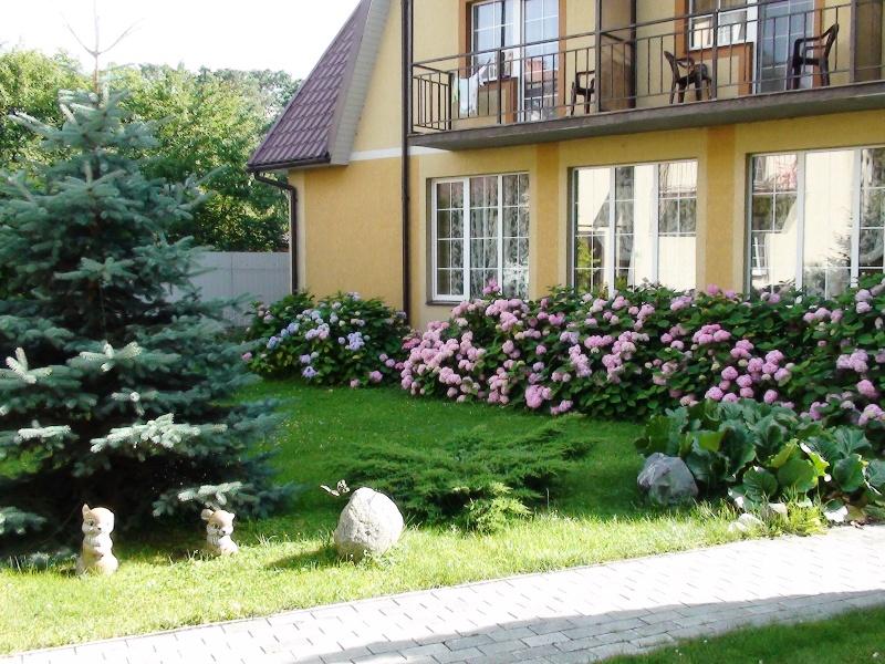 Фото Понарт