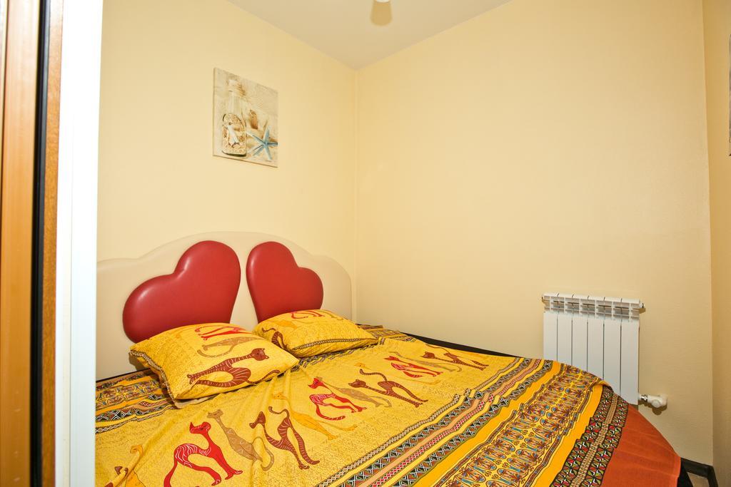 Фото Альбатрос